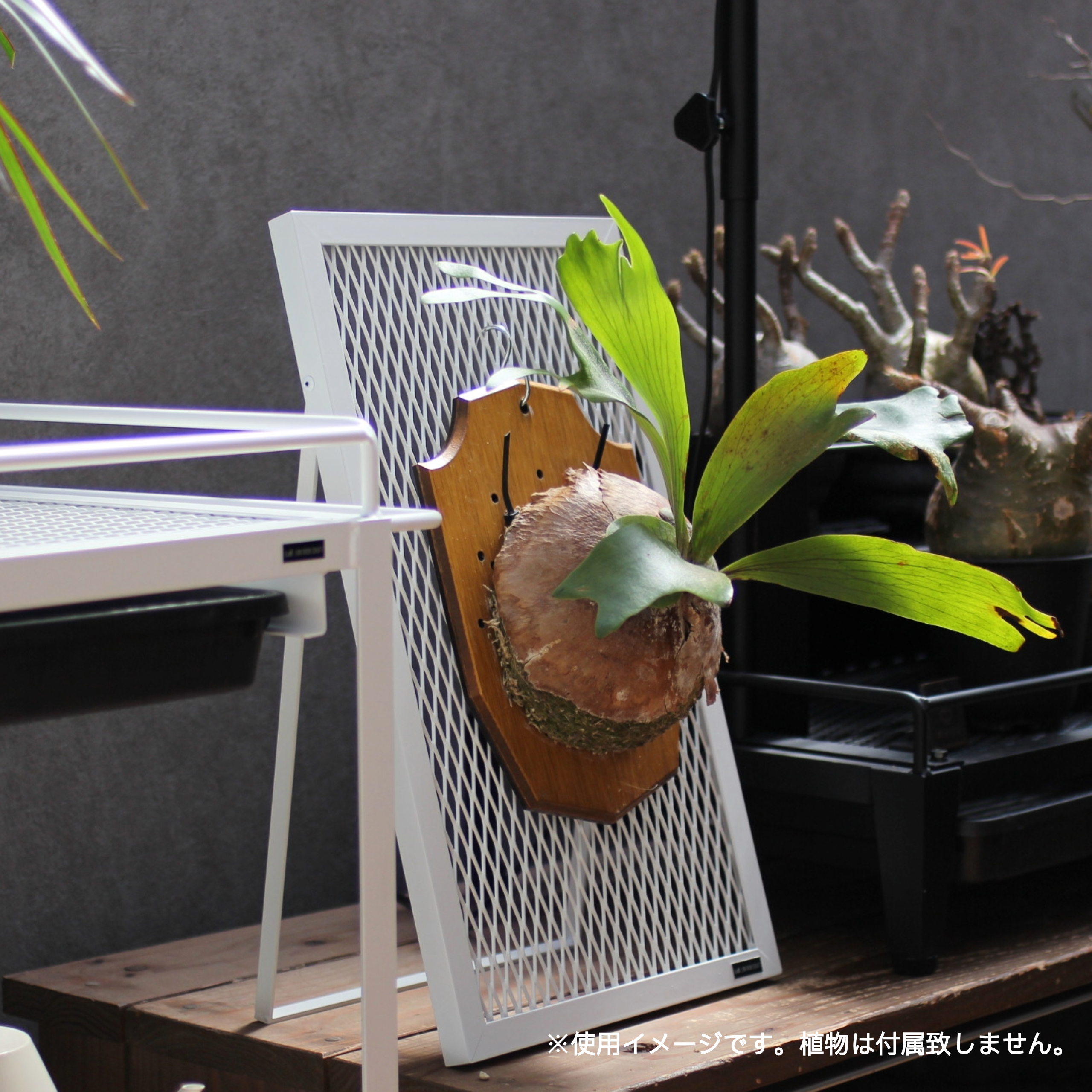 PLANT STAND