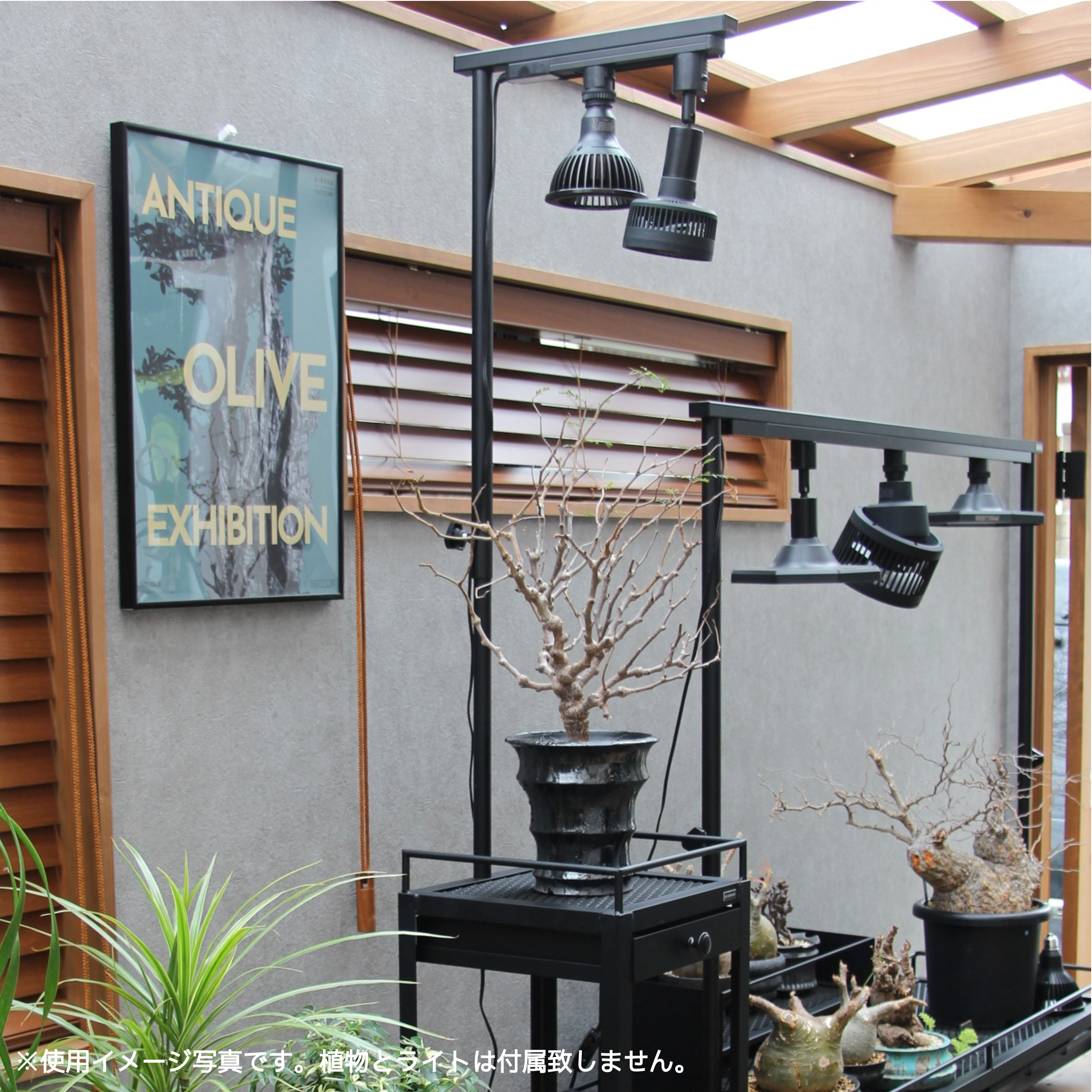 Display stand