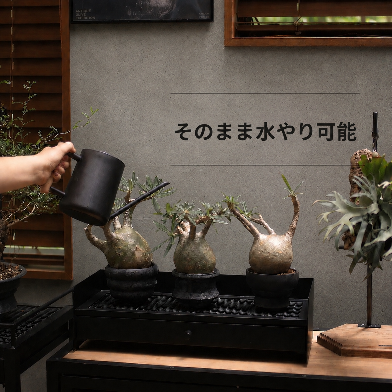 FLOW RACK ~フローラック~(予約販売品8/10~順次発送)