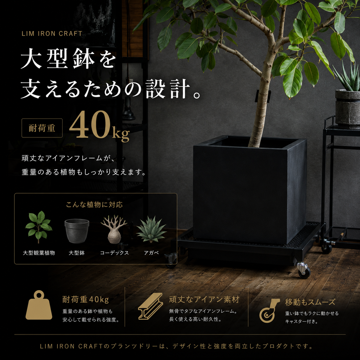Plants Dolly~プランツ・ドリー~(予約販売品)