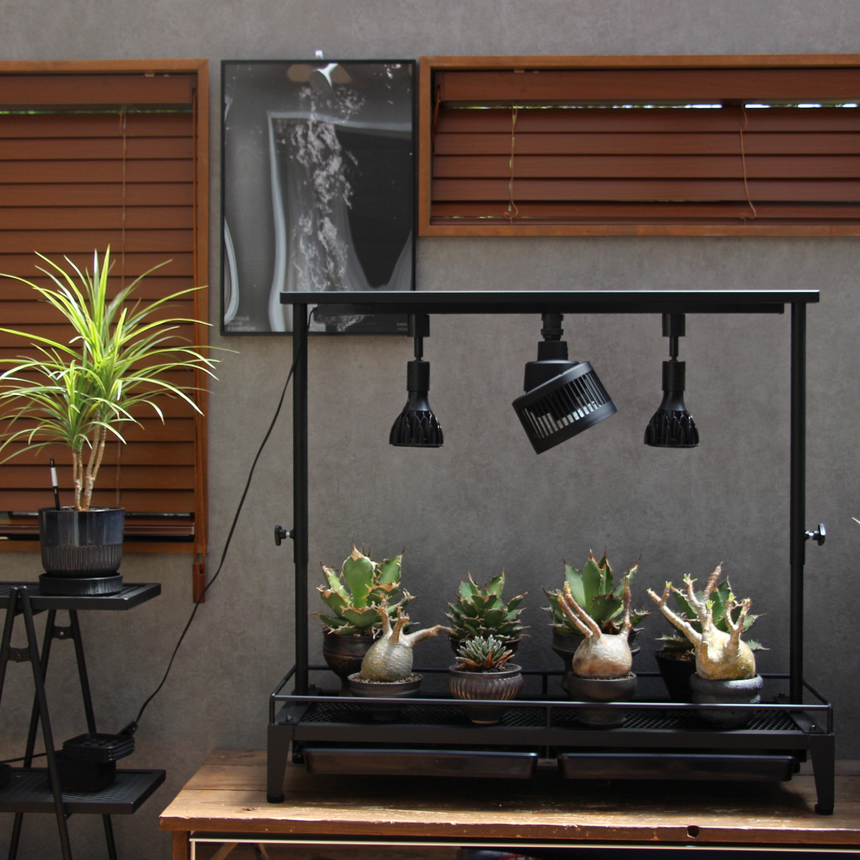 水受けトレー付き1段植物棚(W920×D300×H130mm)スターターセット