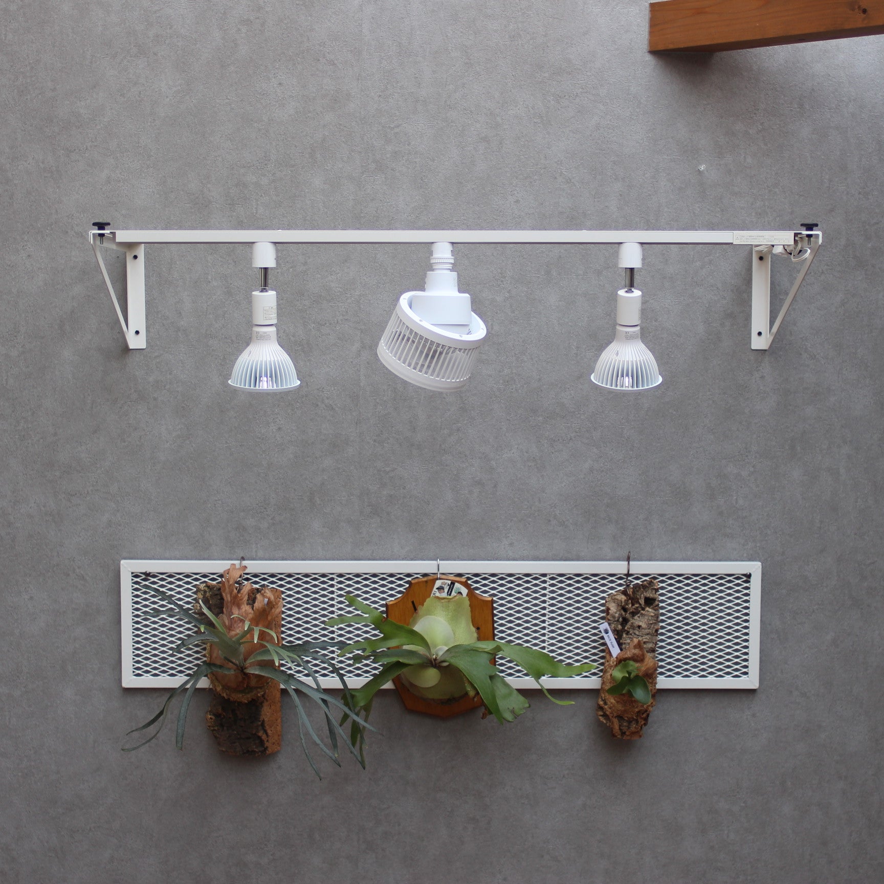 PLANTS GROW ARCH ~プランツ・グロウ・アーチ~