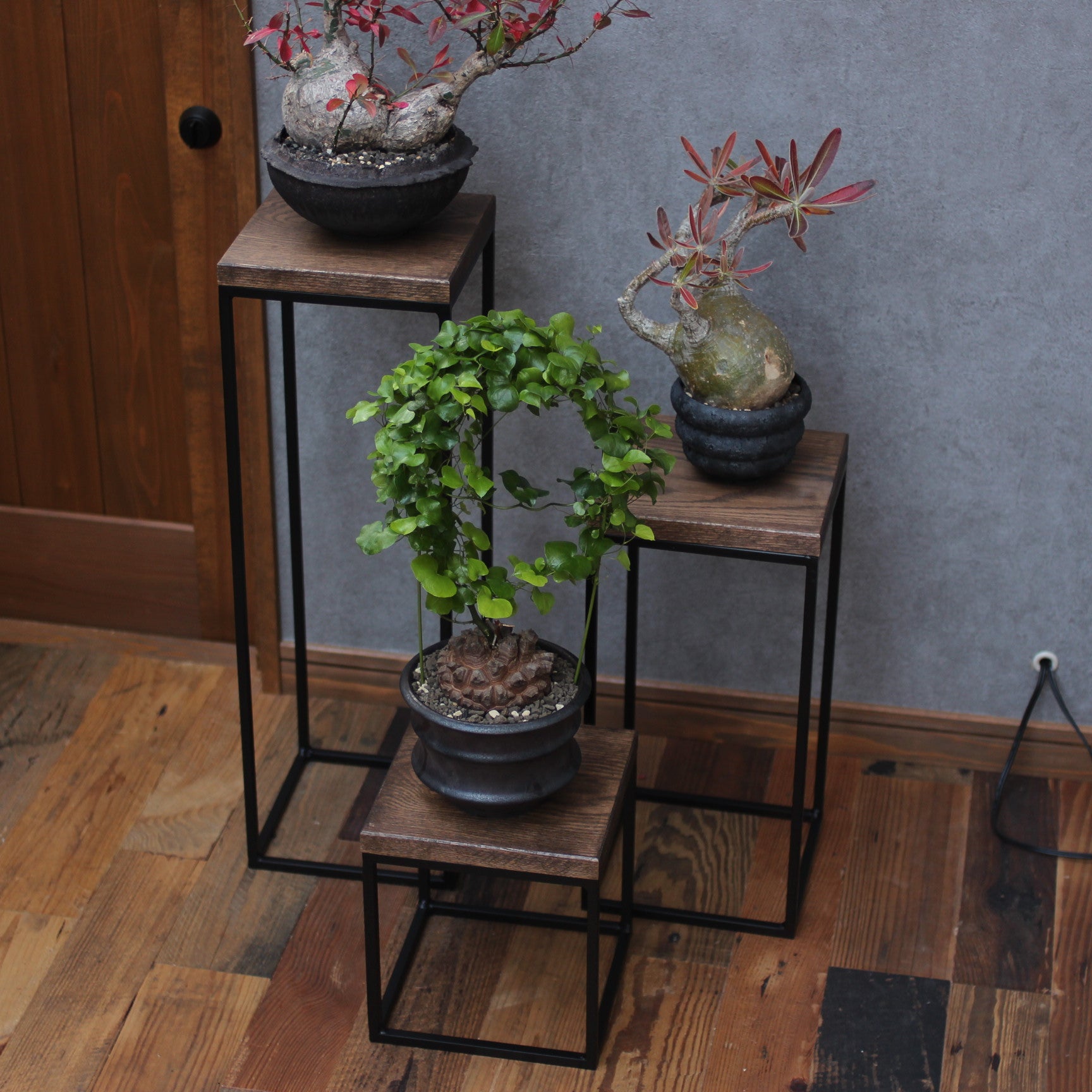Planter stand, black color