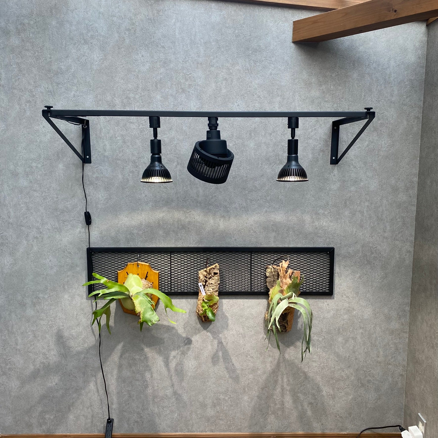 PLANTS GROW ARCH ~プランツ・グロウ・アーチ~