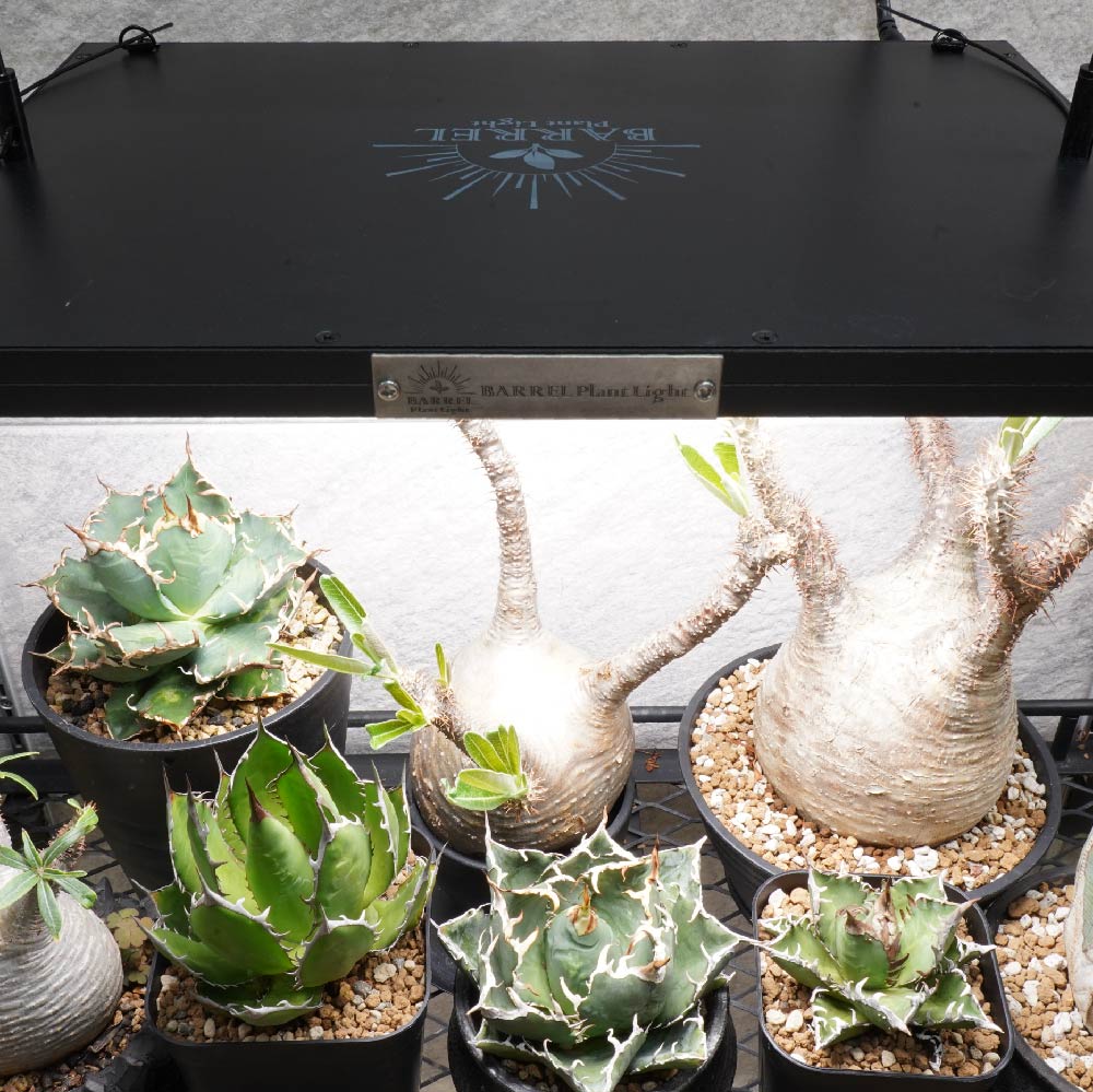 【ROKI‐350 100W】(ロキ) パネルライト 超高演色 植物育成用照明