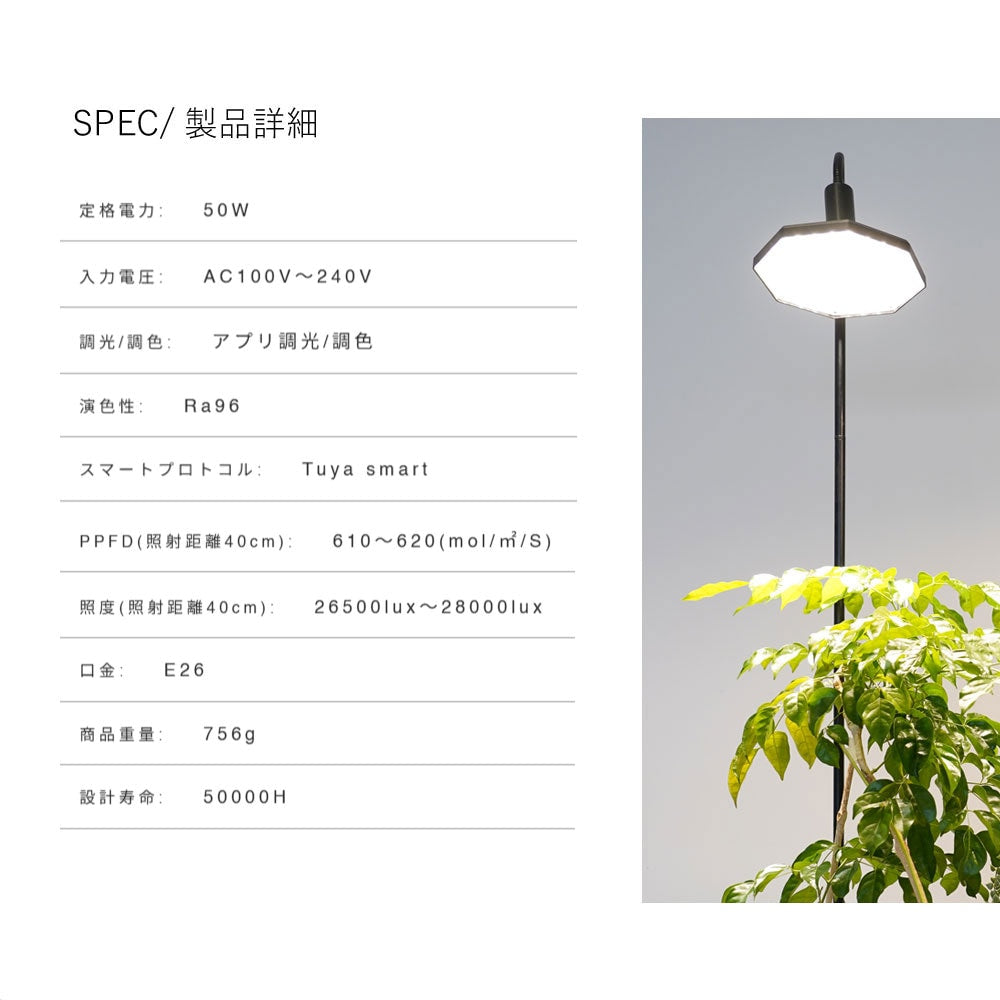 ROKI-OCTAGON-50W