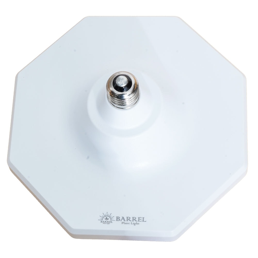 ROKI-OCTAGON-50W