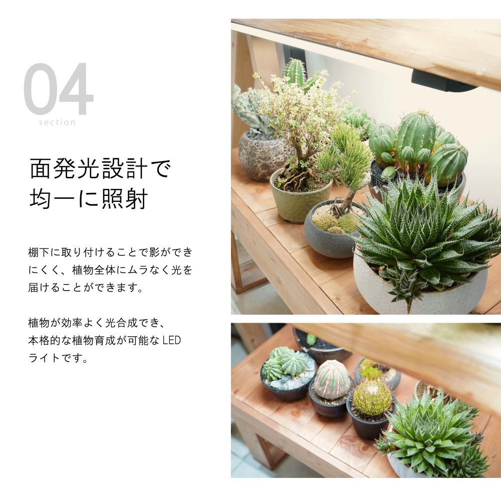 【SHELF GROW SLIM】植物育成ライト LED 薄型スリム 室内育成用照明