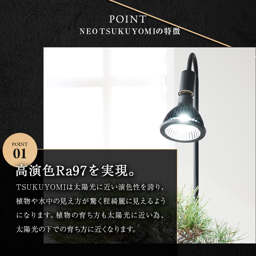NEO TSUKUYOMI 20W BLACK EDITION