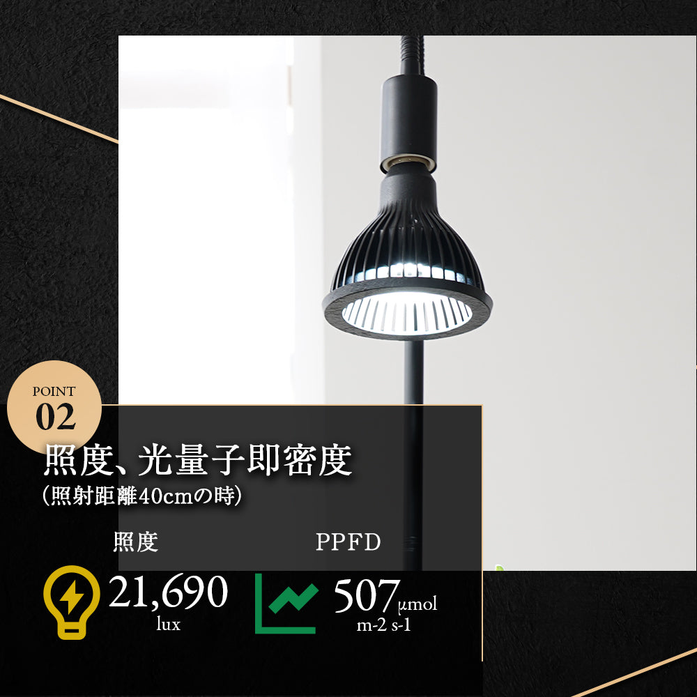 NEO TSUKUYOMI 20W BLACK EDITION
