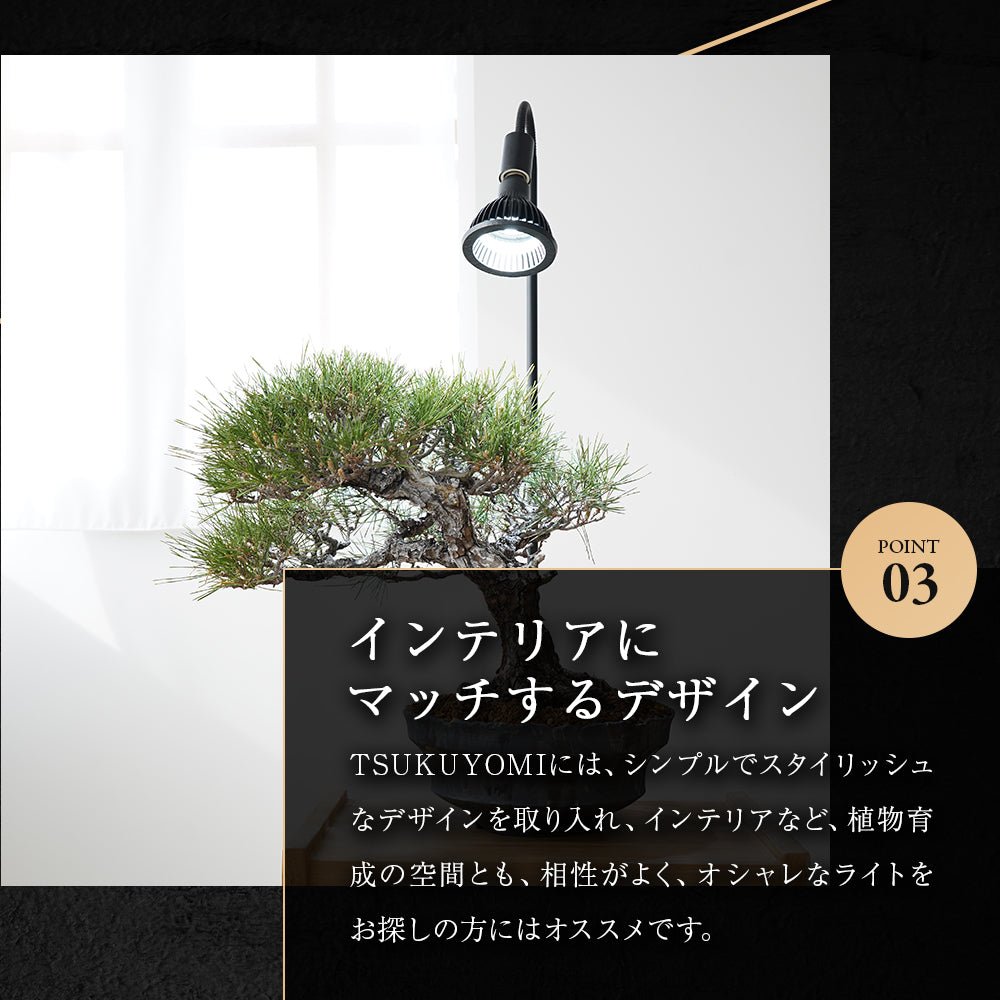 NEO TSUKUYOMI 20W BLACK EDITION