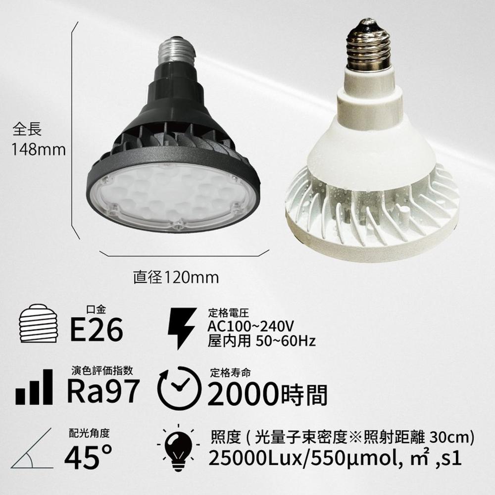 WAP-SUN-20W防水電球