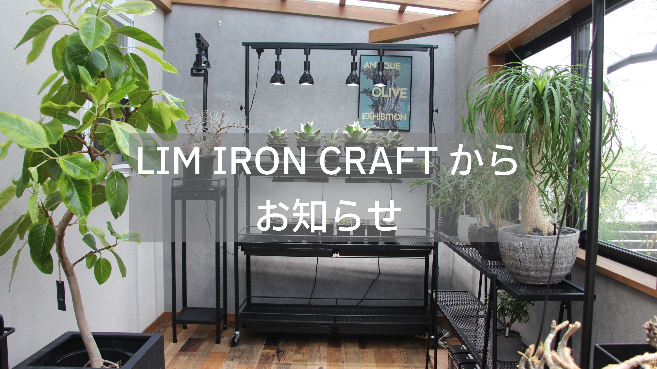 【お得】室内植物育成セット LIM AIRON CRAFT mini植物棚スターターセット