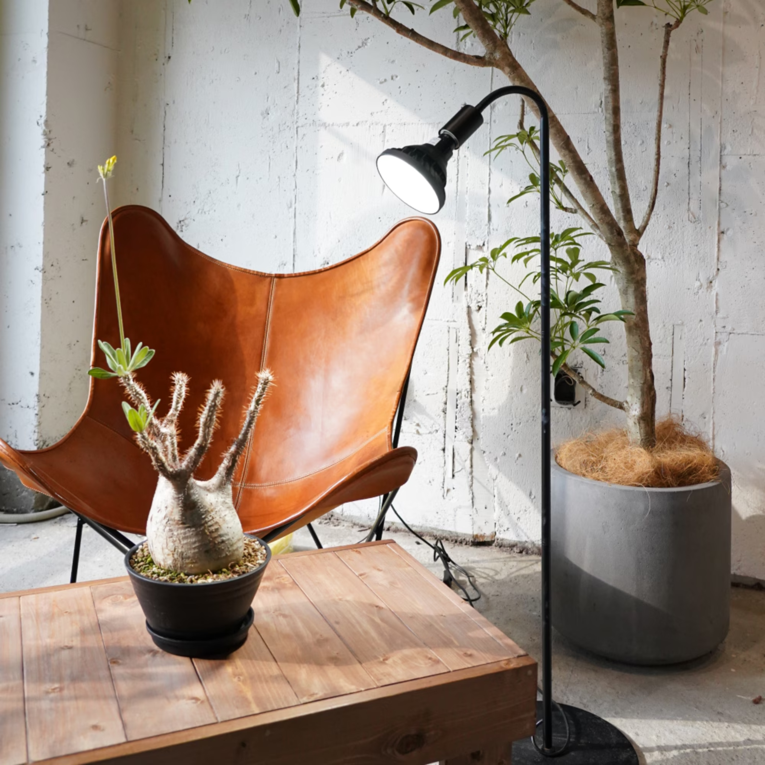 Floor Lamp Stand Akond Black White Plant Growth Light Adjustable Angle 74CM FLOOR LAMP STAND [AKOND]