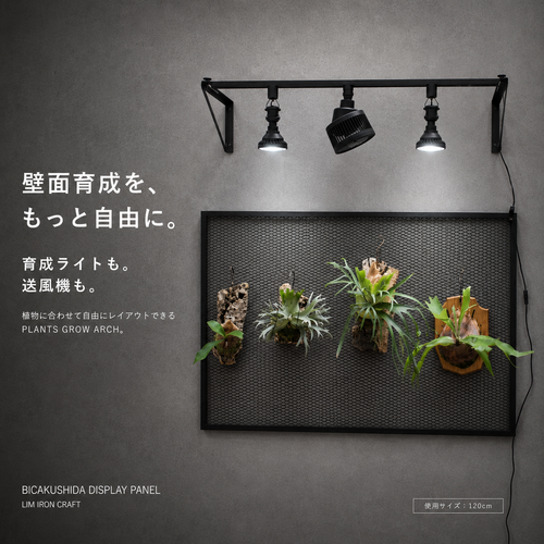 PLANTS GROW ARCH　～プランツ・グロウ・アーチ～