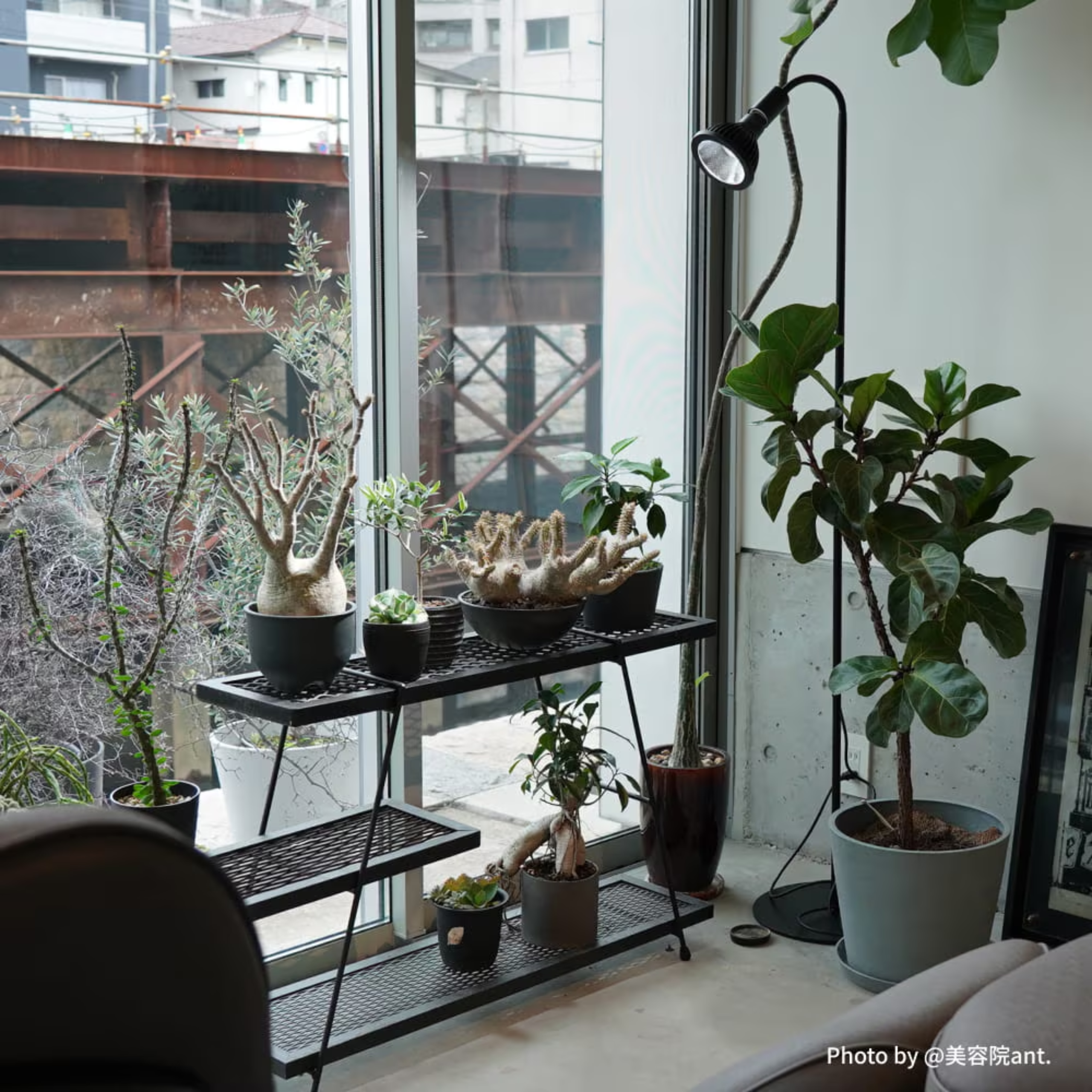 Floor Lamp Stand Akond Black White Plant Growth Light Adjustable Angle 74CM FLOOR LAMP STAND [AKOND]