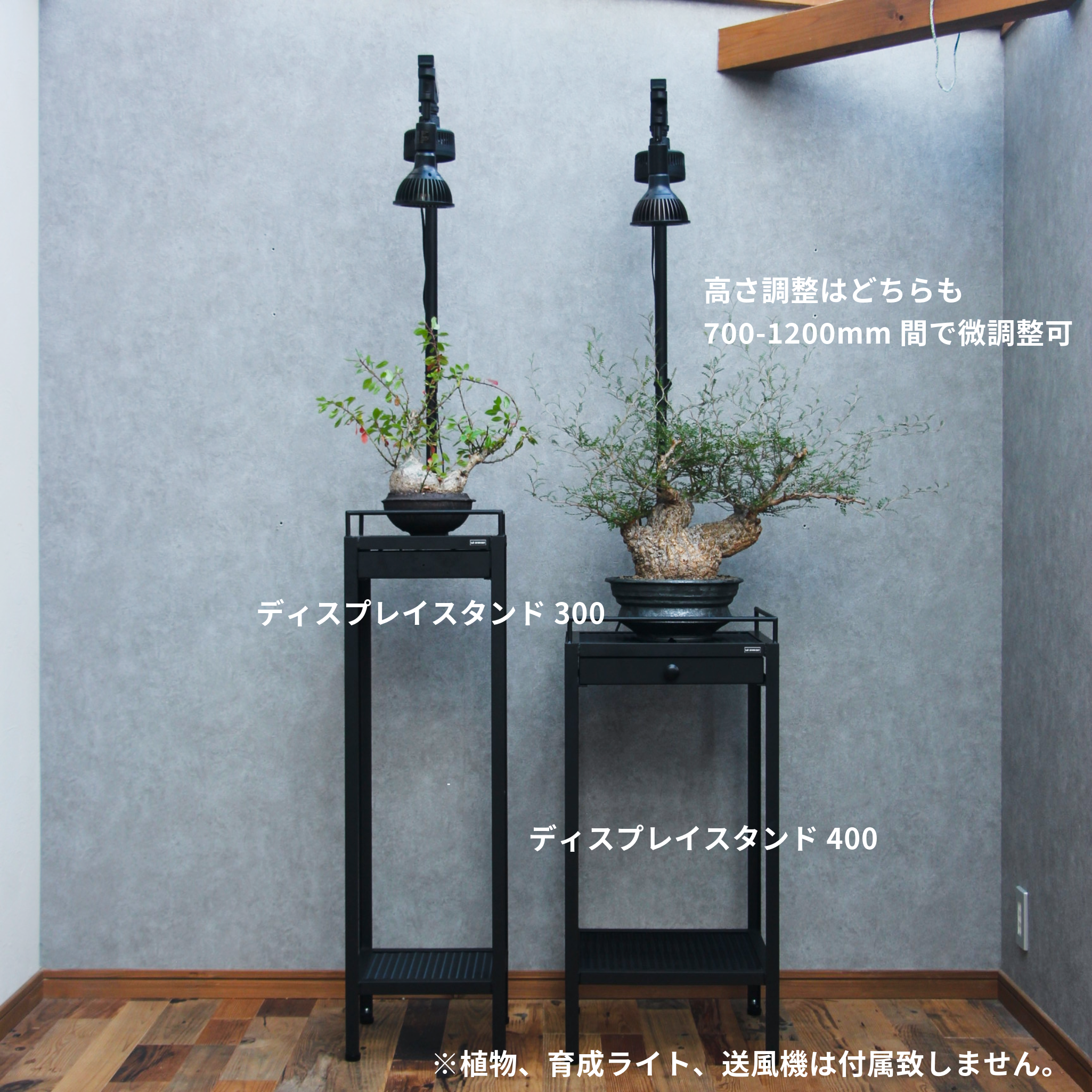DISPLAYSTAND ～ディスプレイスタンド～
