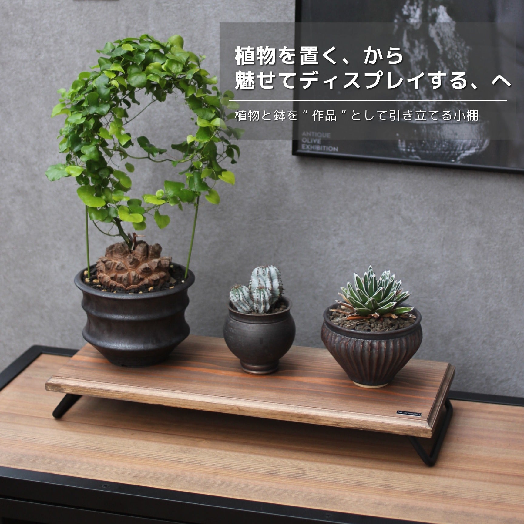 PLANTER STAND