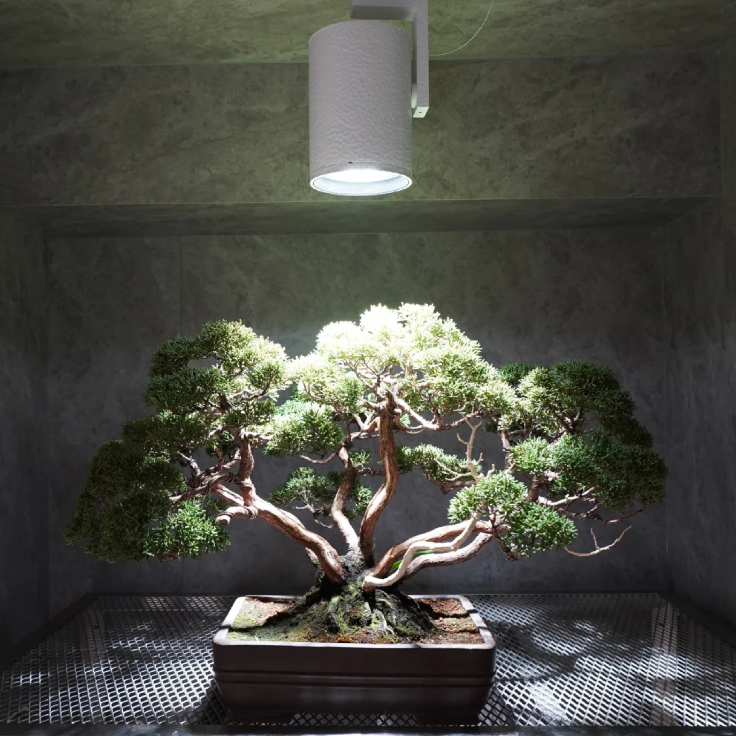 HADES LED 45W(5000K)