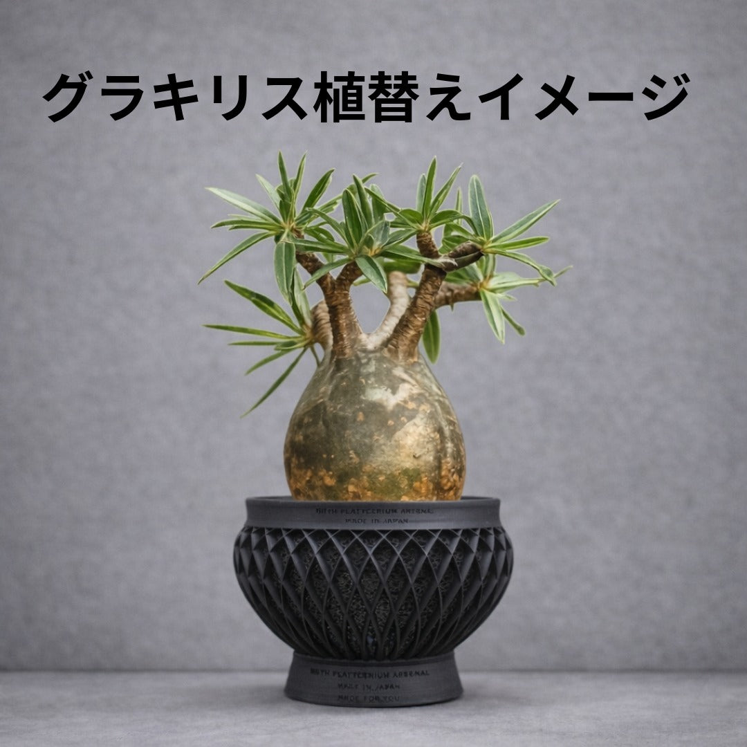 深呼吸する3Dプリンタ鉢/手毬