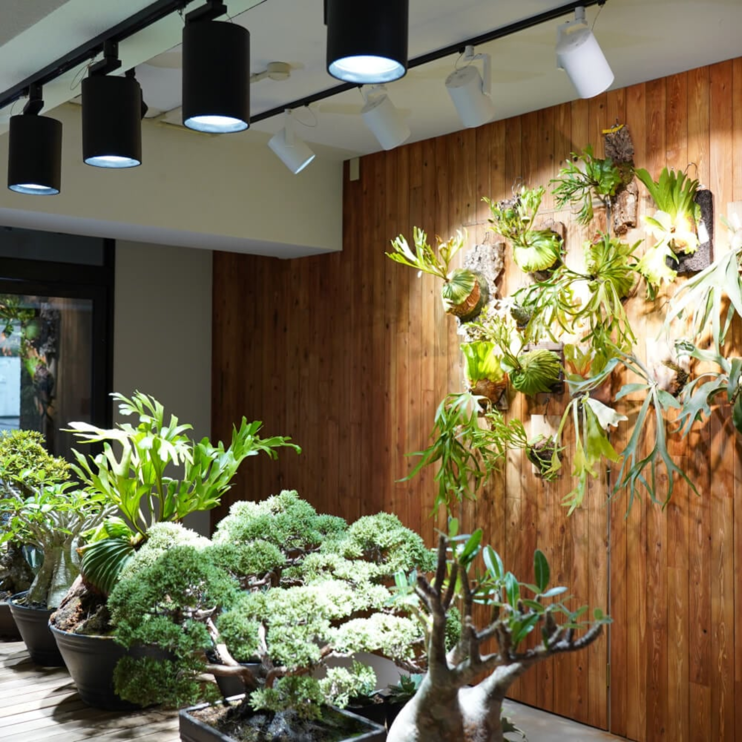 HADES LED 45W(5000K)