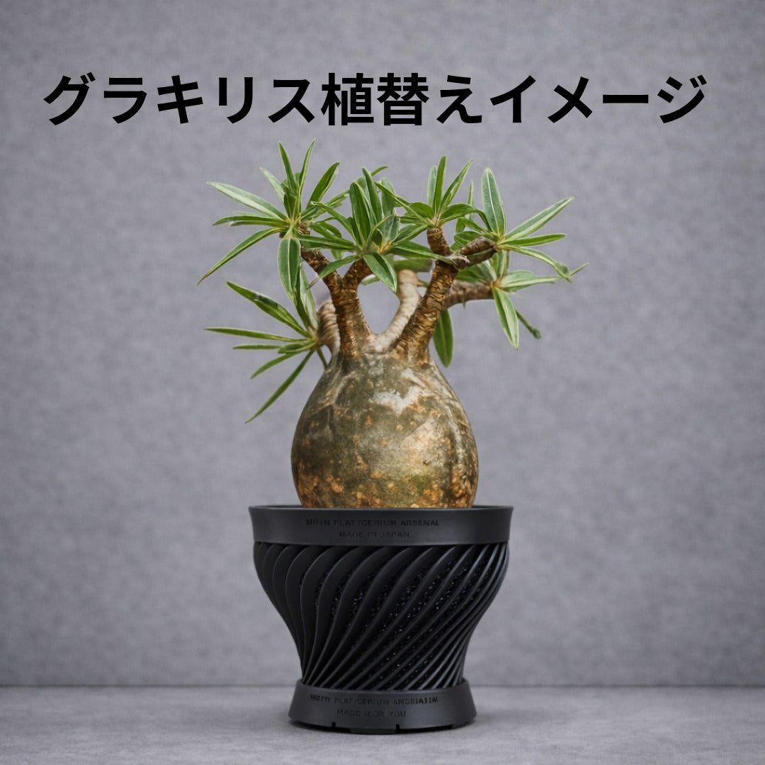 深呼吸する3Dプリンタ鉢/つぼみ