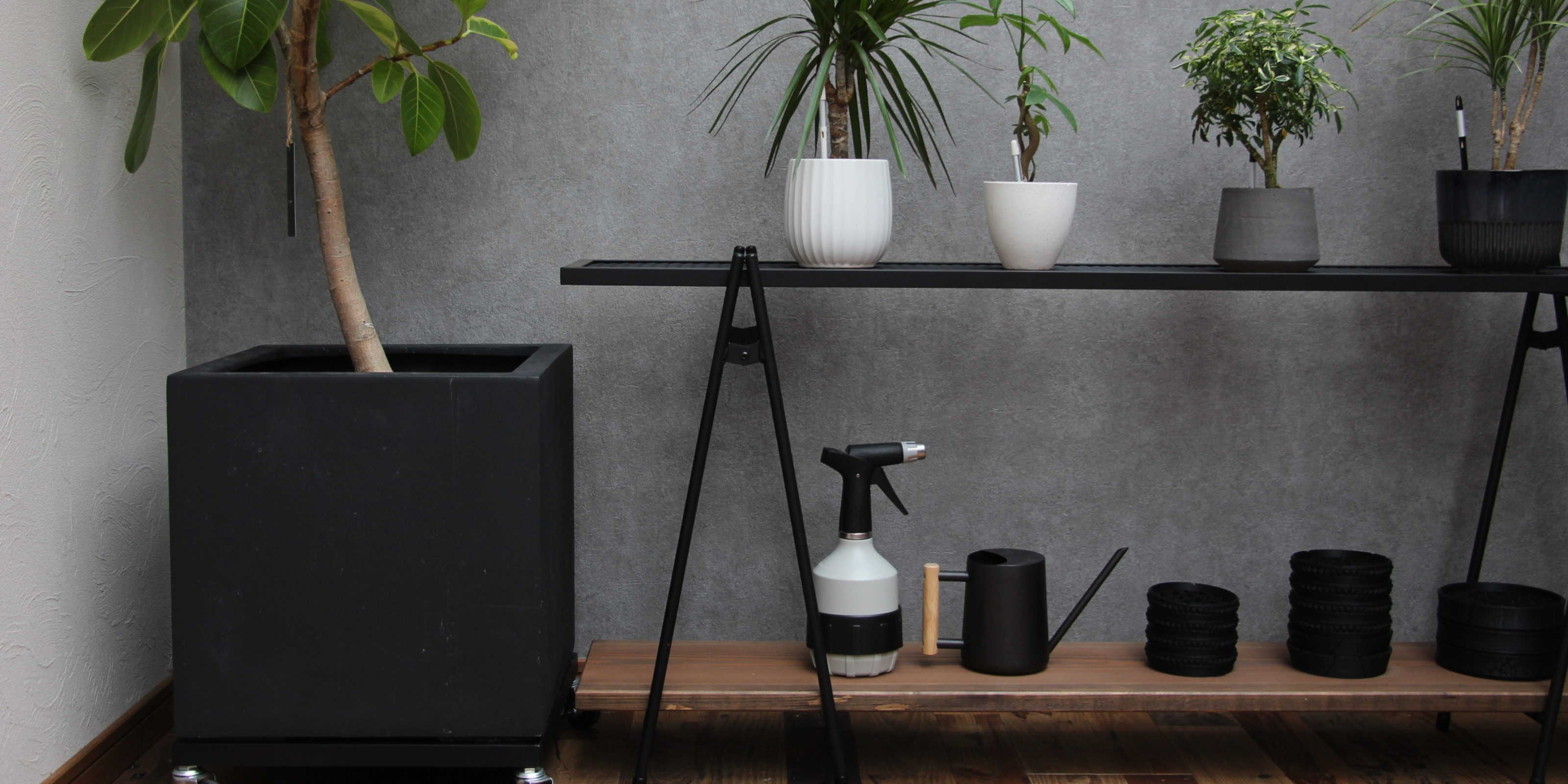 ☆送料込み☆植物棚スターターセット即購入OK 植物育成 ボタニカル