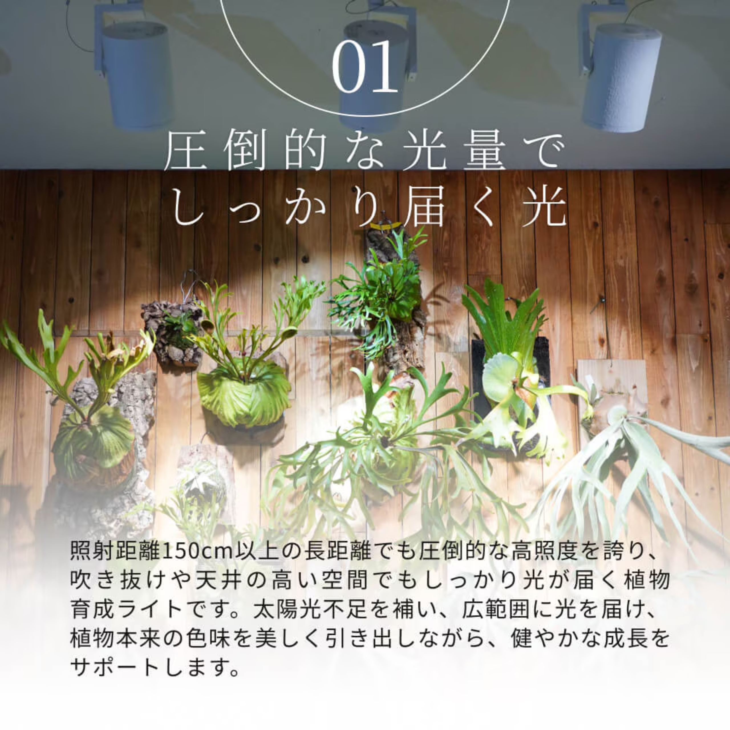 HADES LED 45W(5000K)