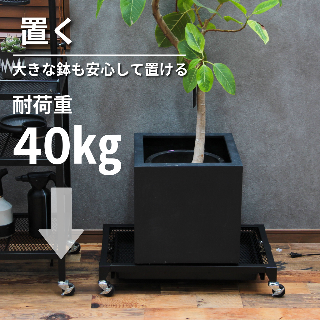 Plants Dolly～プランツ・ドリー～