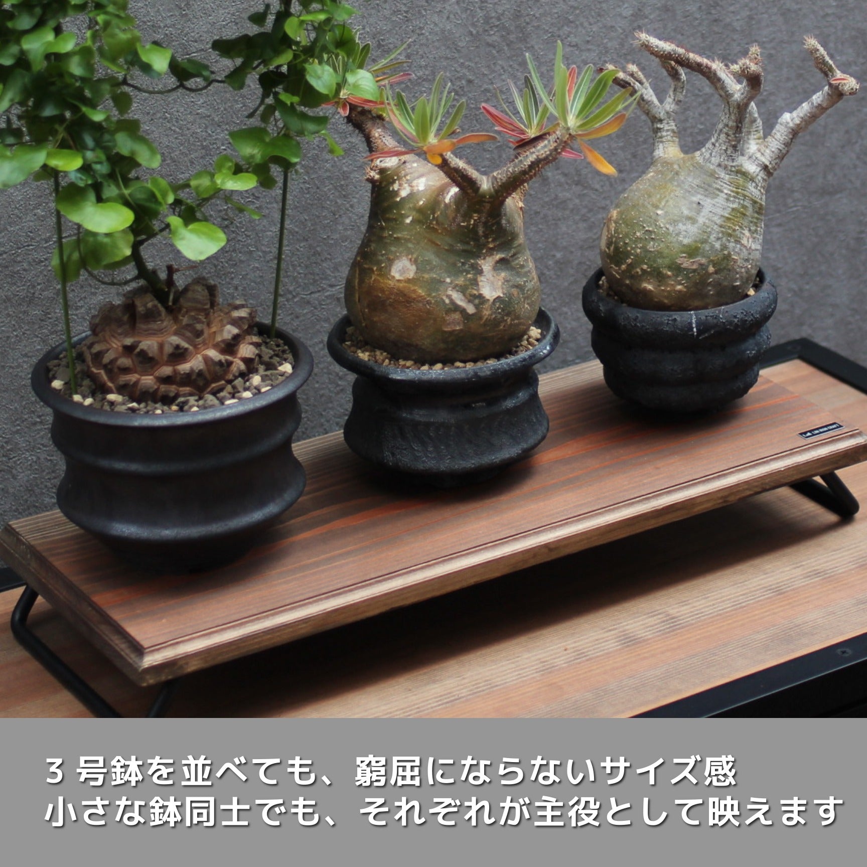 LOW DISPLAY BOARD(ロー・ディスプレイ・ボード)