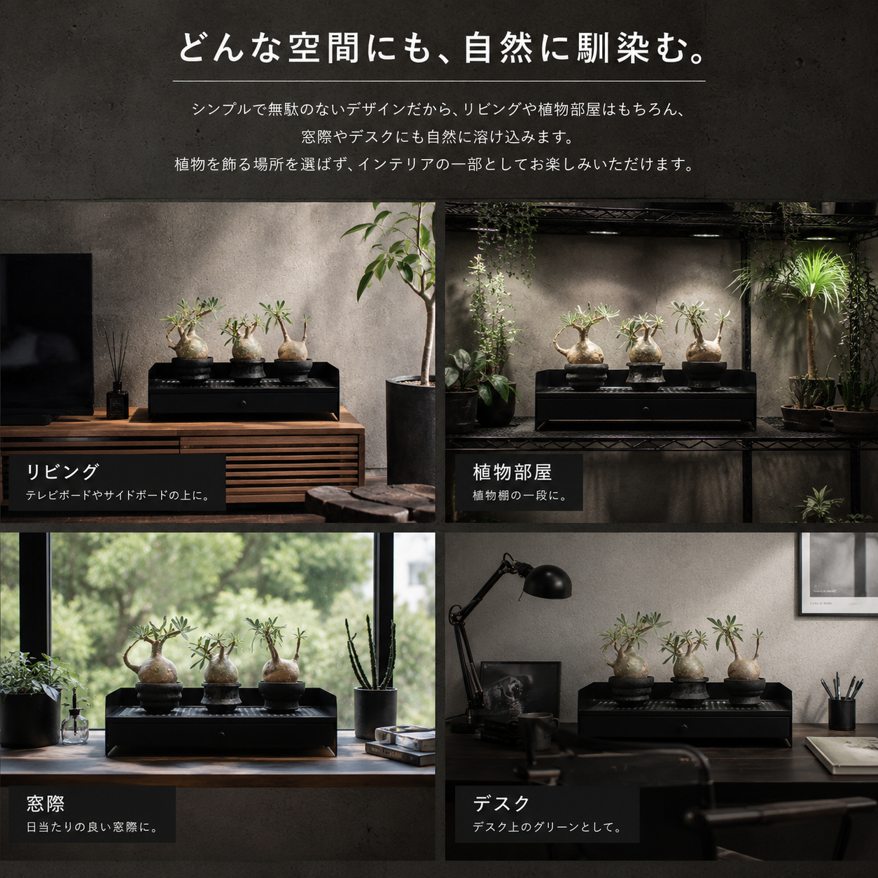 FLOW RACK　～フローラック～(予約販売品8/10～順次発送)