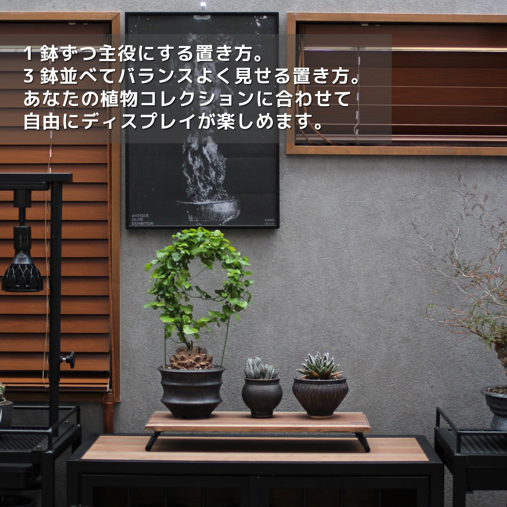 LOW DISPLAY BOARD(ロー・ディスプレイ・ボード)