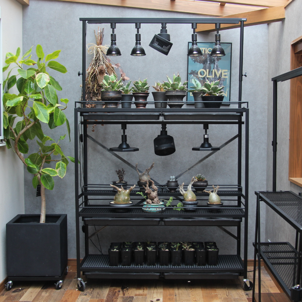 可動式水受けトレー付き植物棚