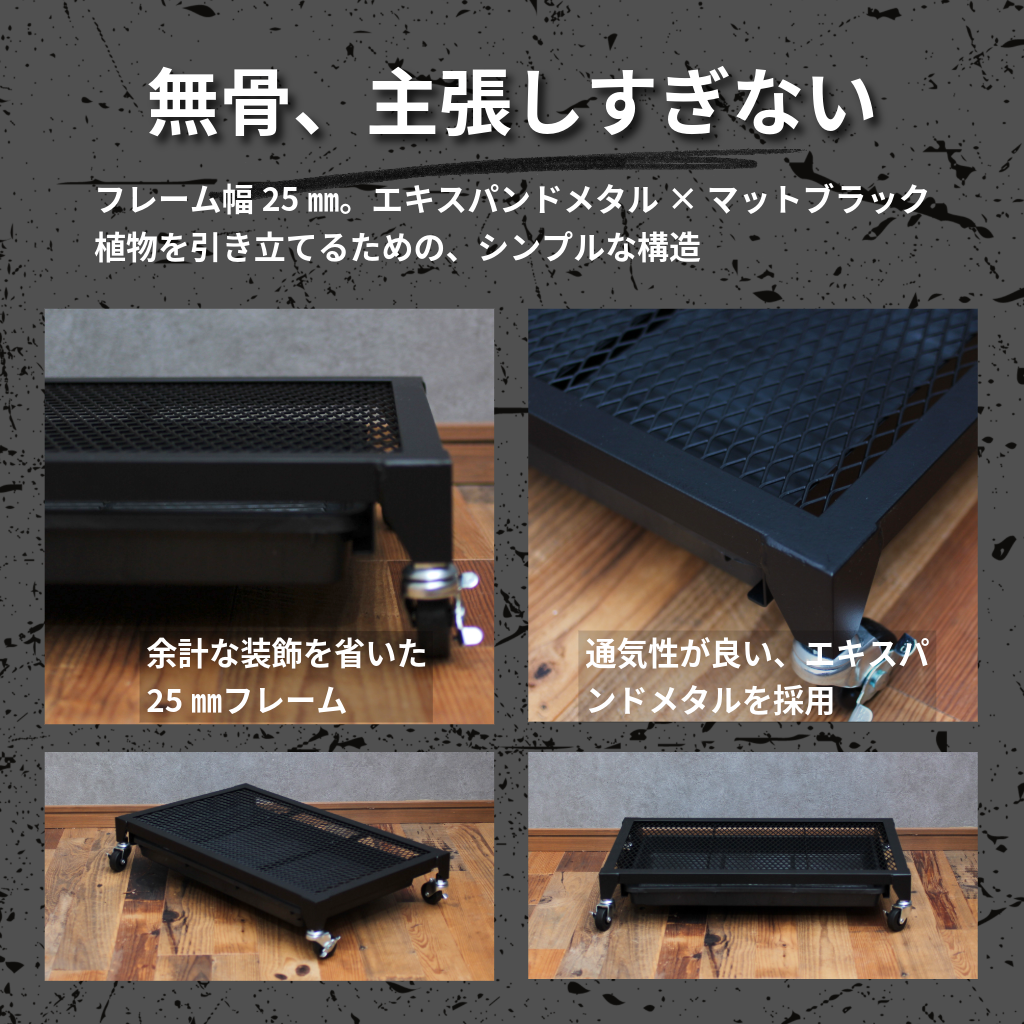 Plants Dolly～プランツ・ドリー～