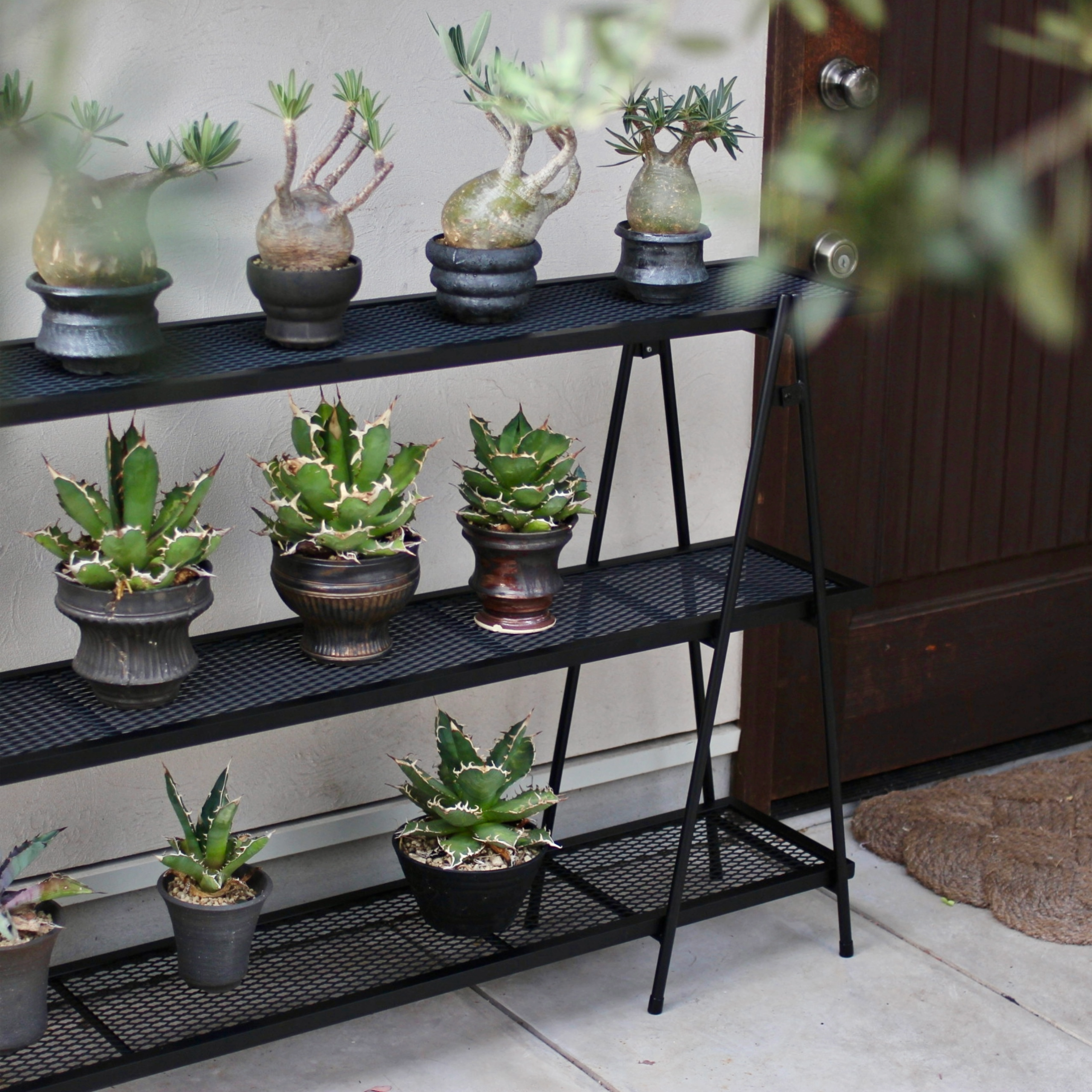 Iron Shelf L