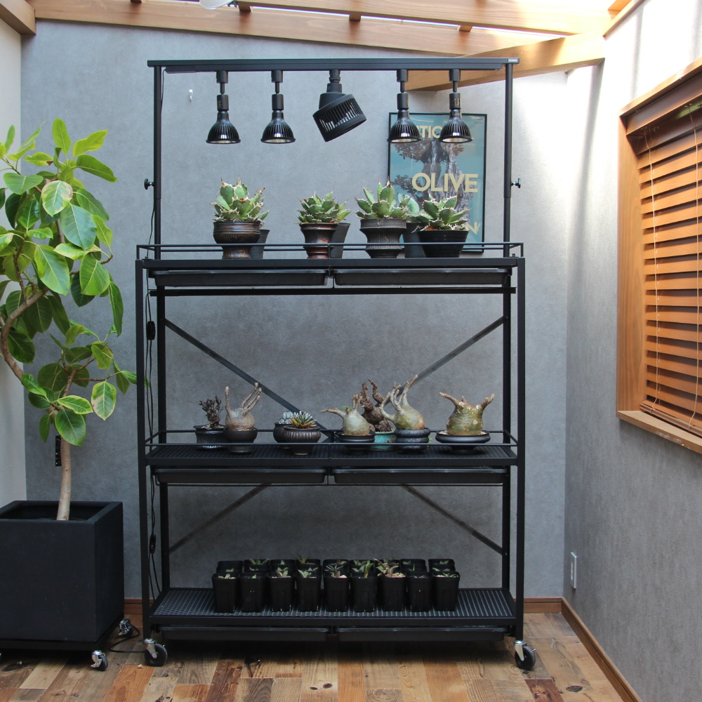 可動式水受けトレー付き植物棚