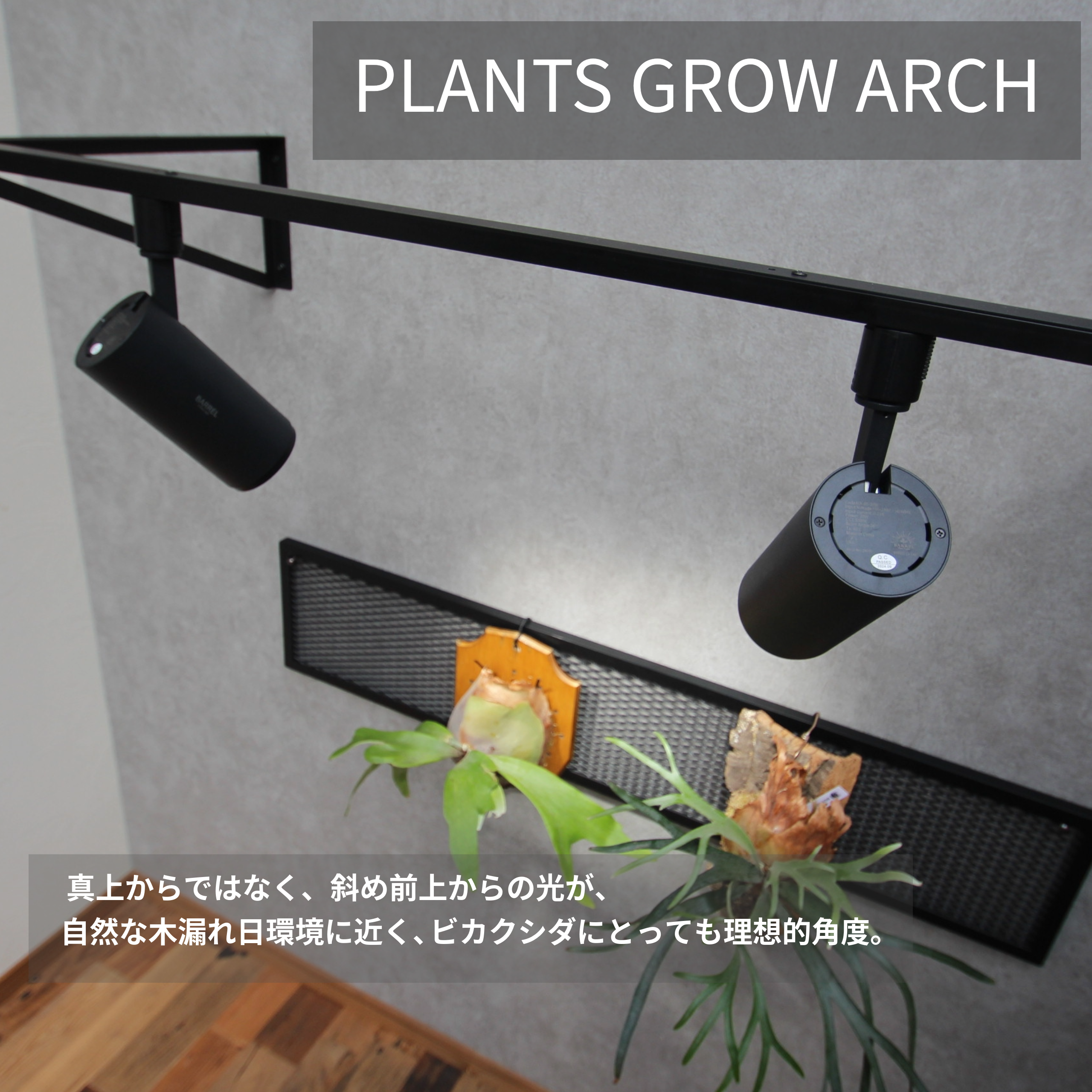 PLANTS GROW ARCHスターターセット