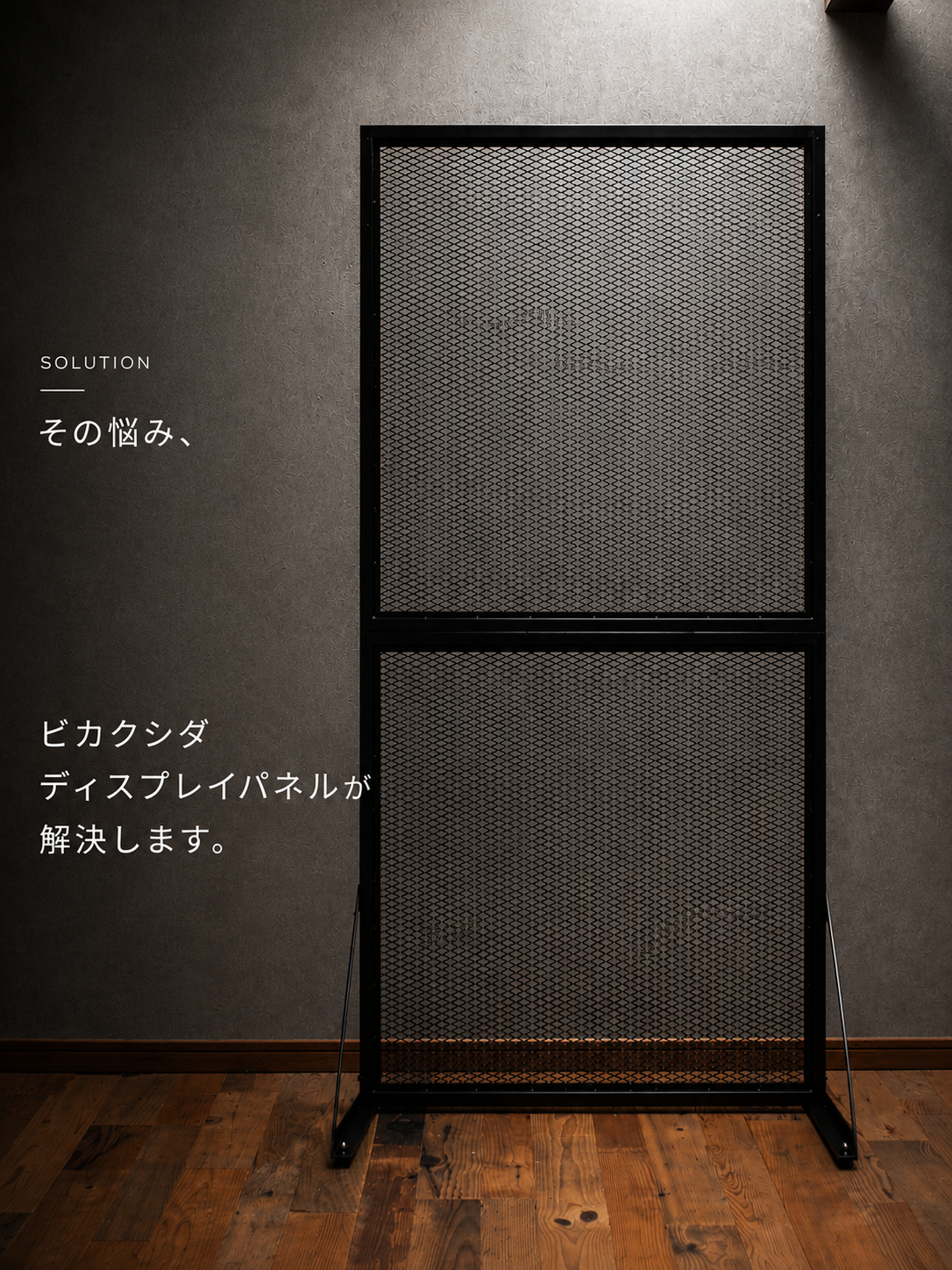 ビカクシダディスプレイパネル