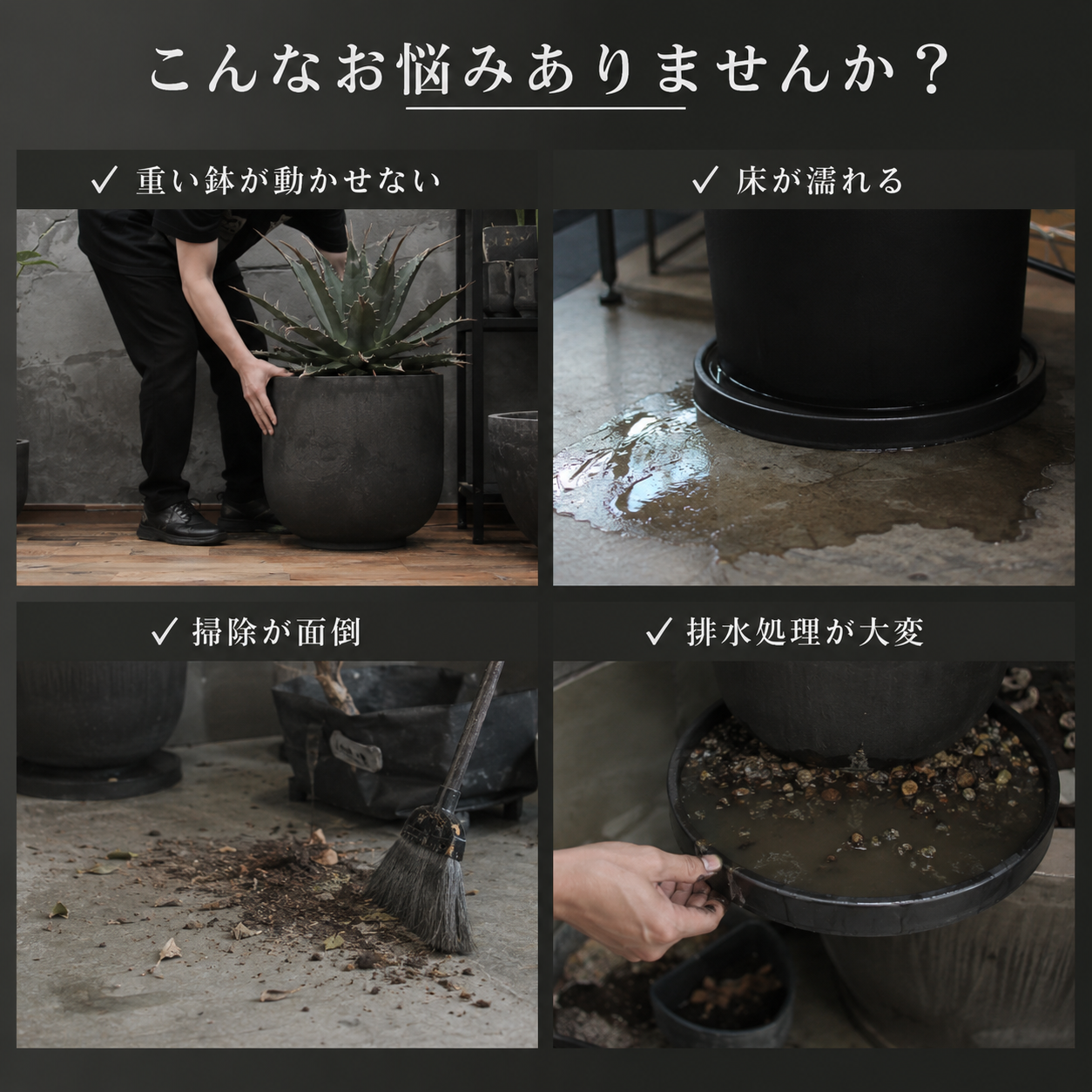 Plants Dolly～プランツ・ドリー～(予約販売品)