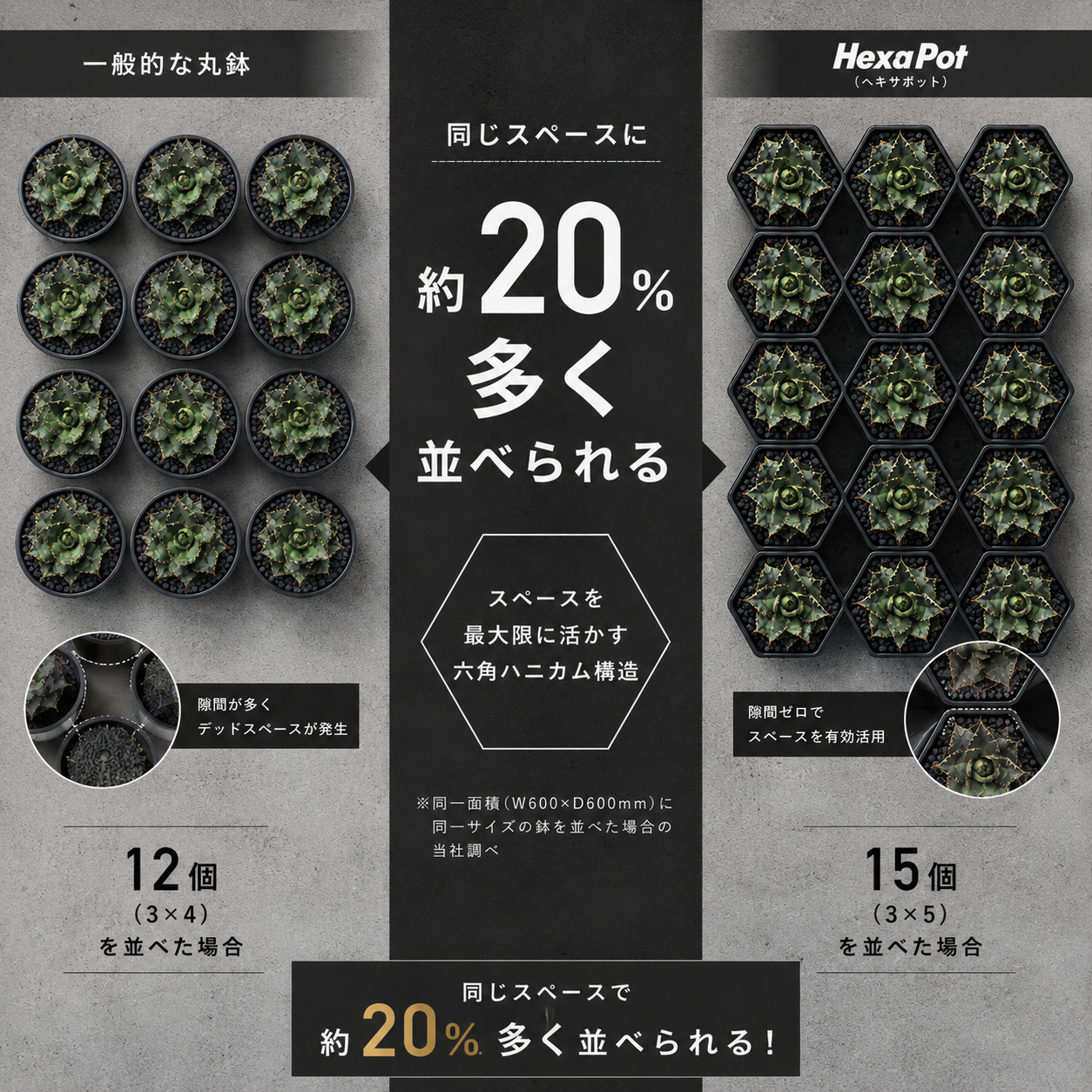 HEXA-POT　5号鉢