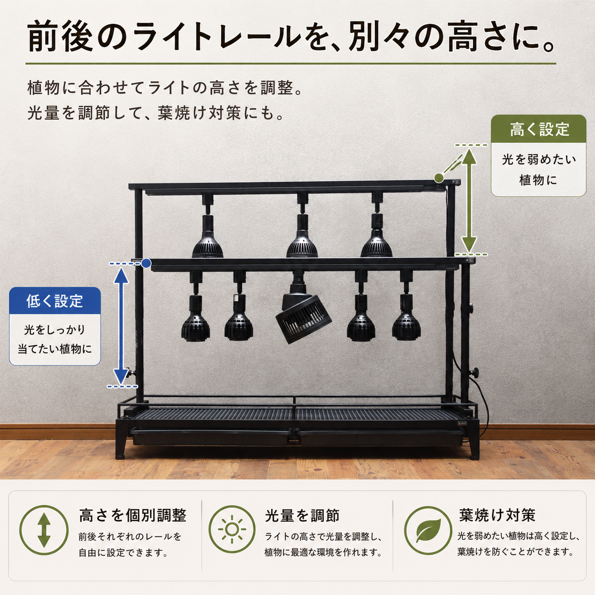 オプション：上段ライトレール