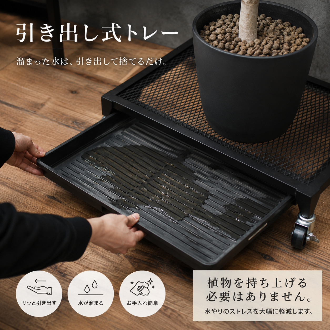 Plants Dolly～プランツ・ドリー～(予約販売品)