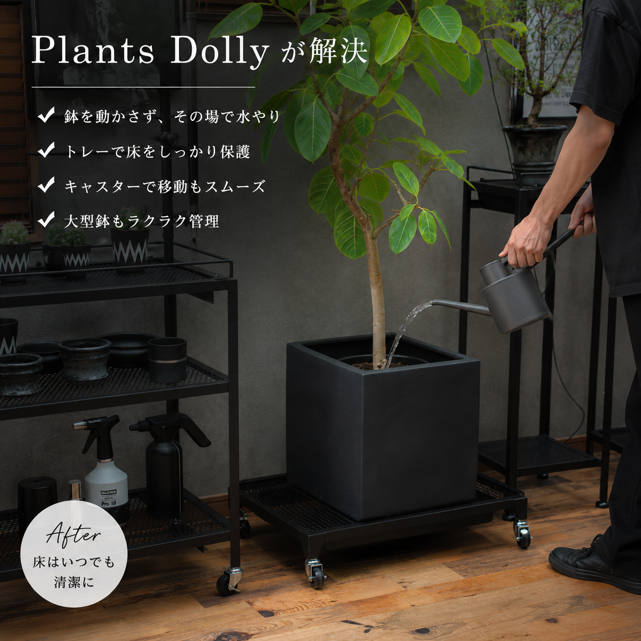 Plants Dolly～プランツ・ドリー～(予約販売品)