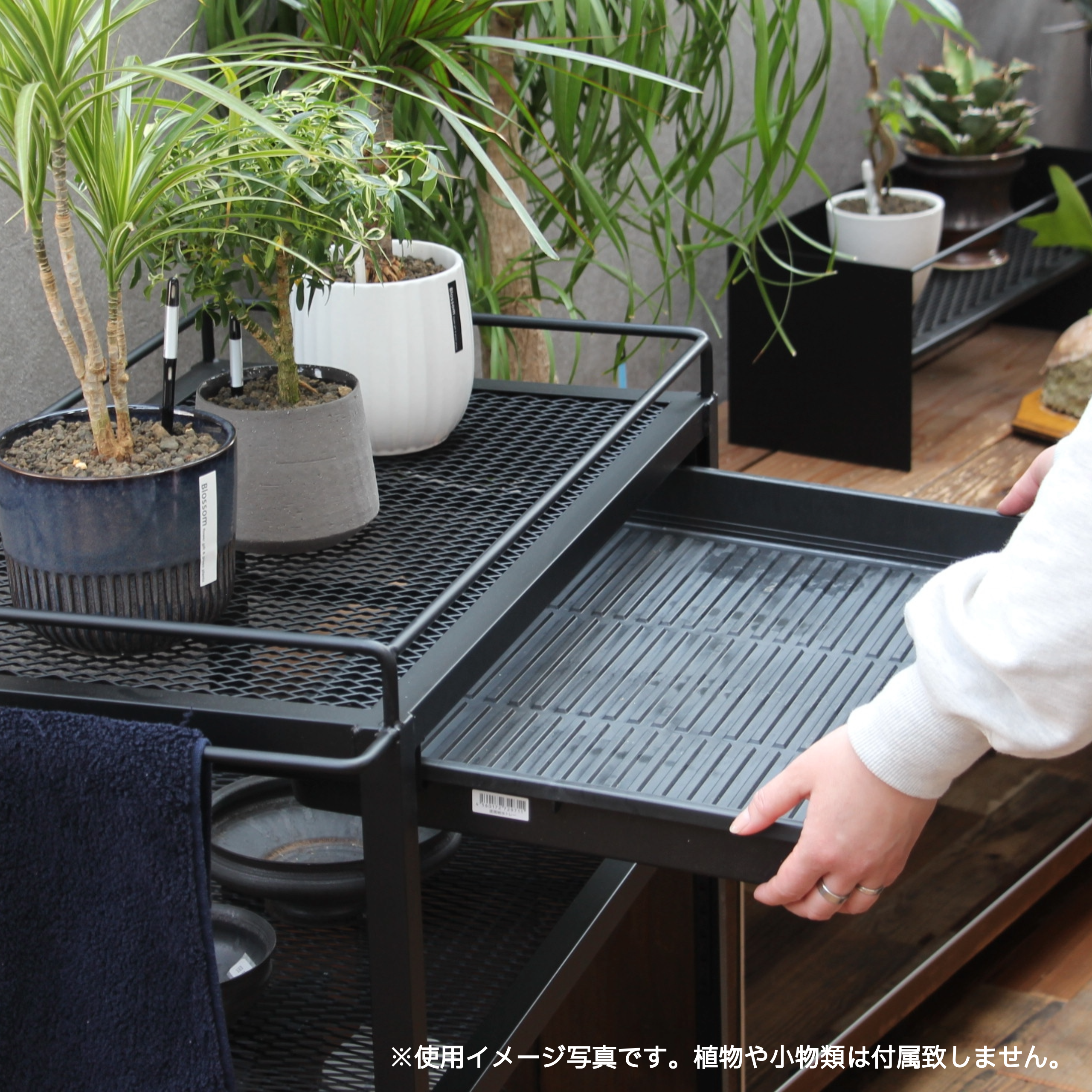 水やり専用ワゴン