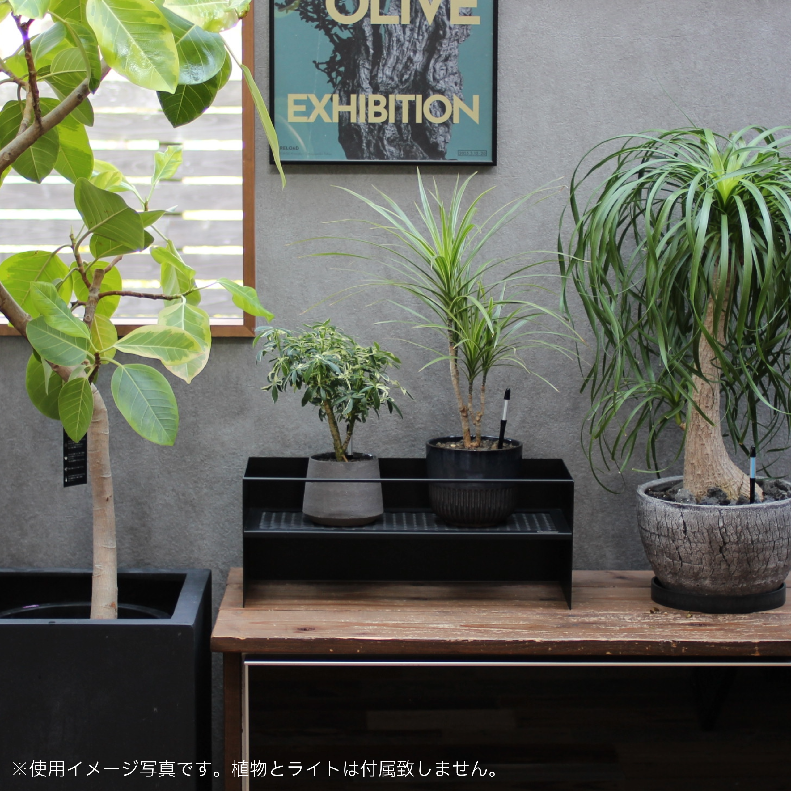 FLOW RACK　～フローラック～