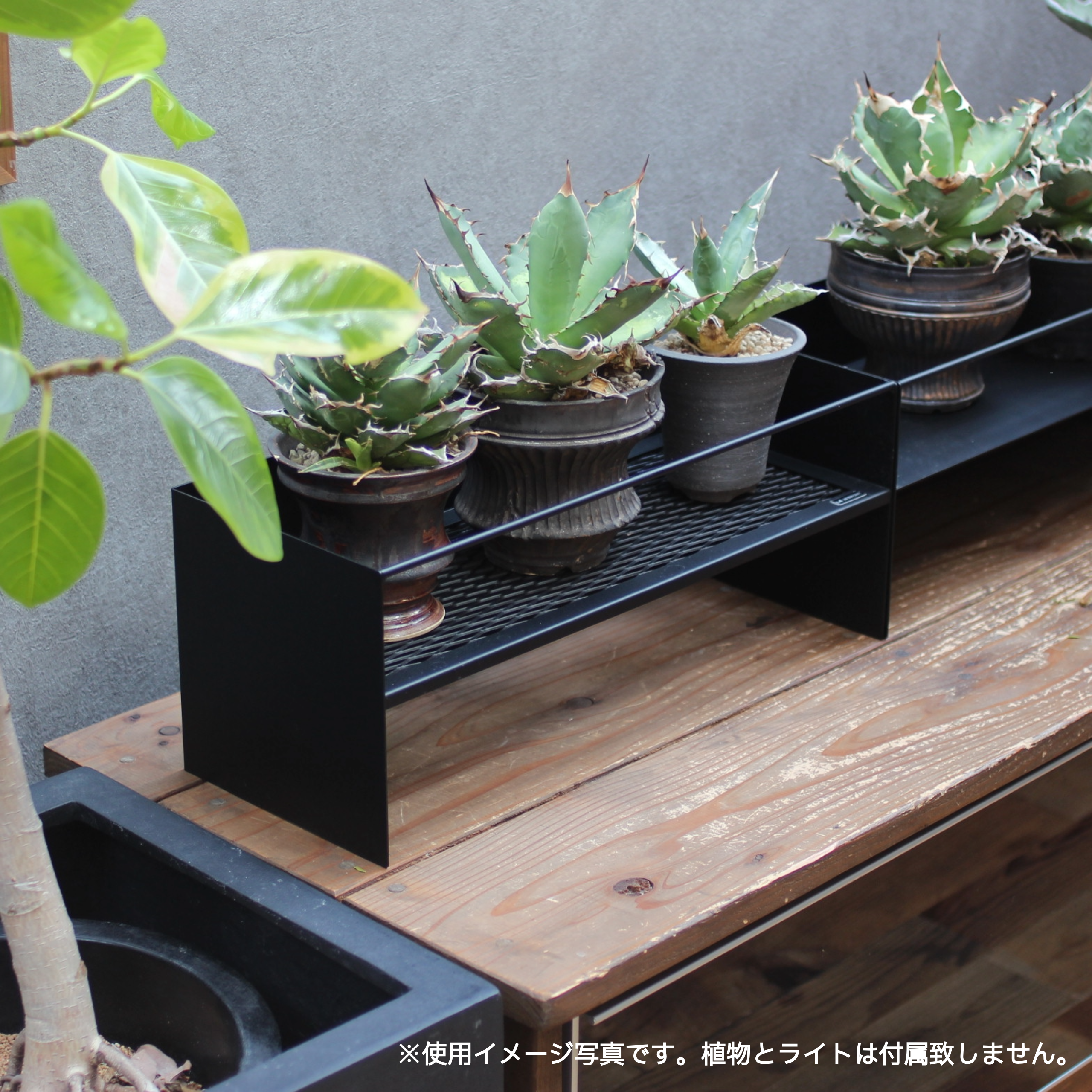 FLOW RACK　～フローラック～