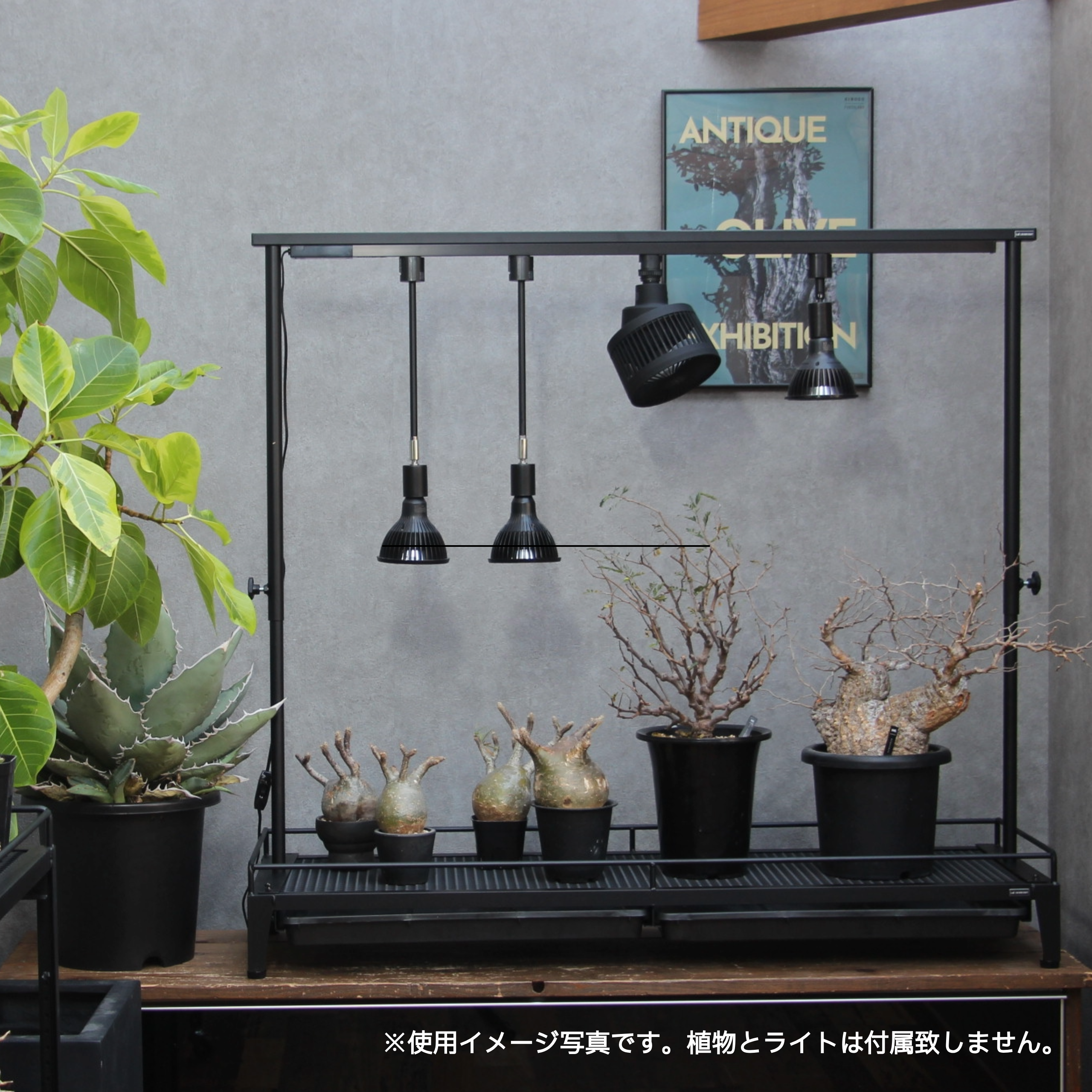 1-tier plant shelf with water tray (with duct rail)