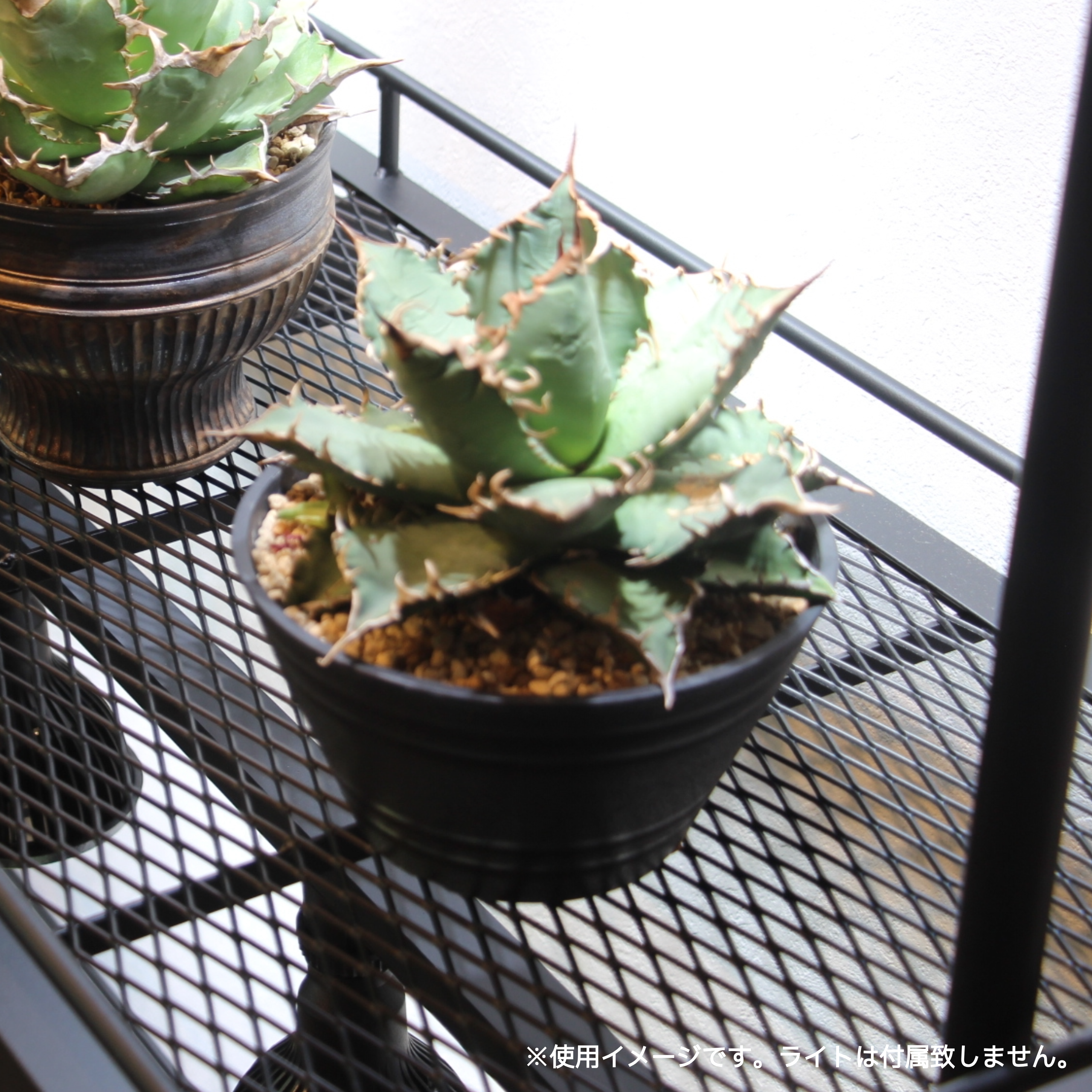 フルオーダー植物棚