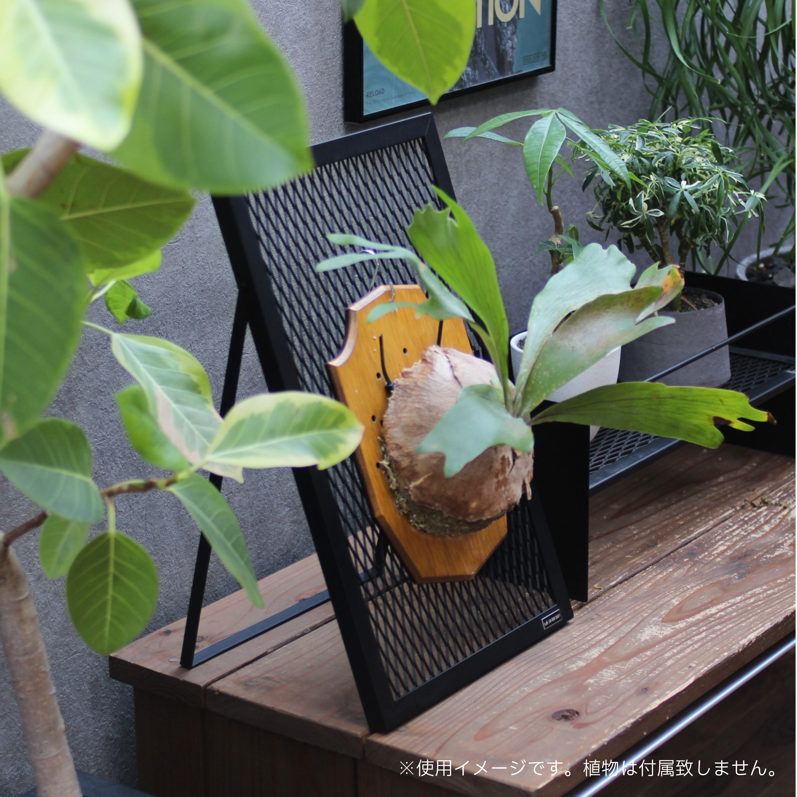 PLANT STAND