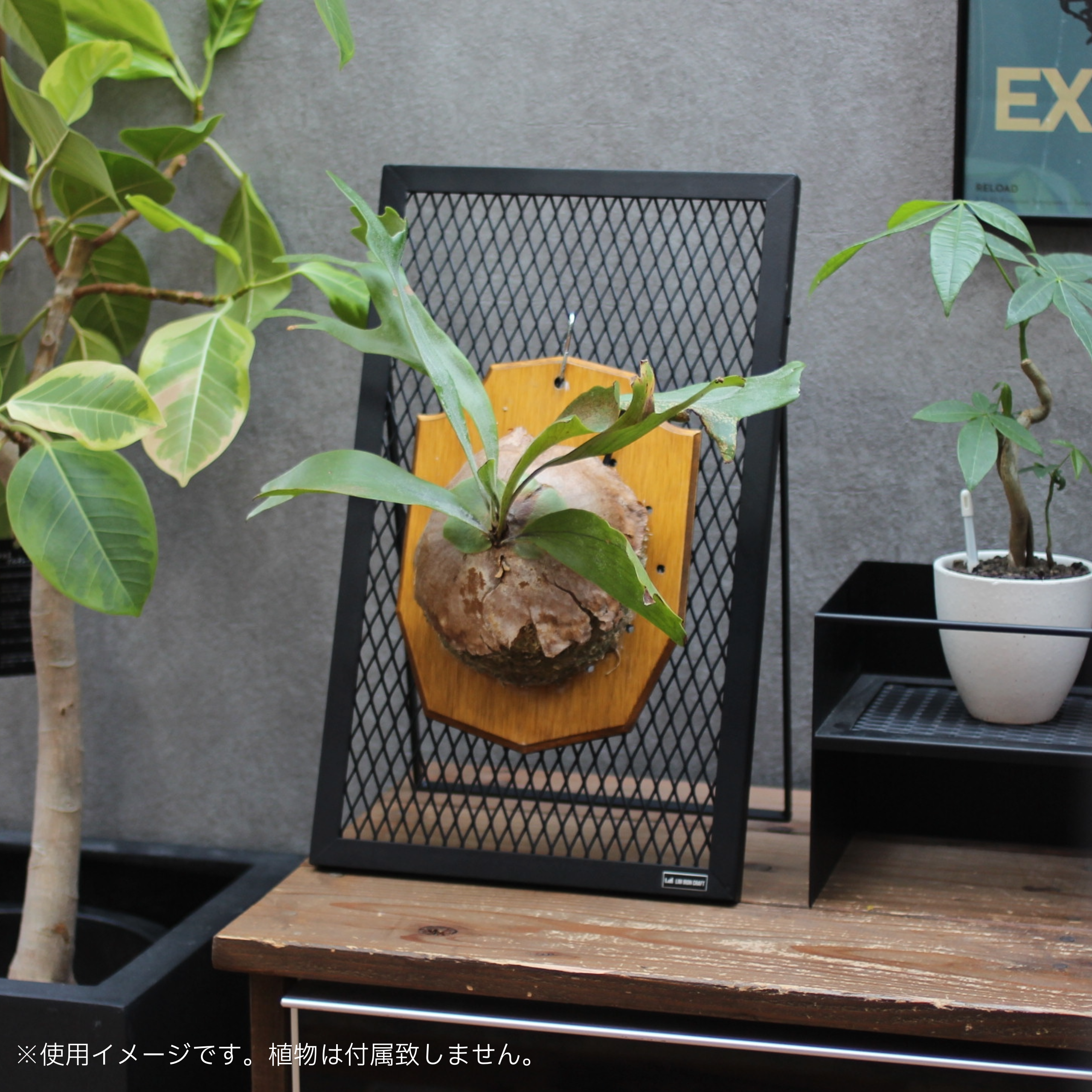 PLANT STAND